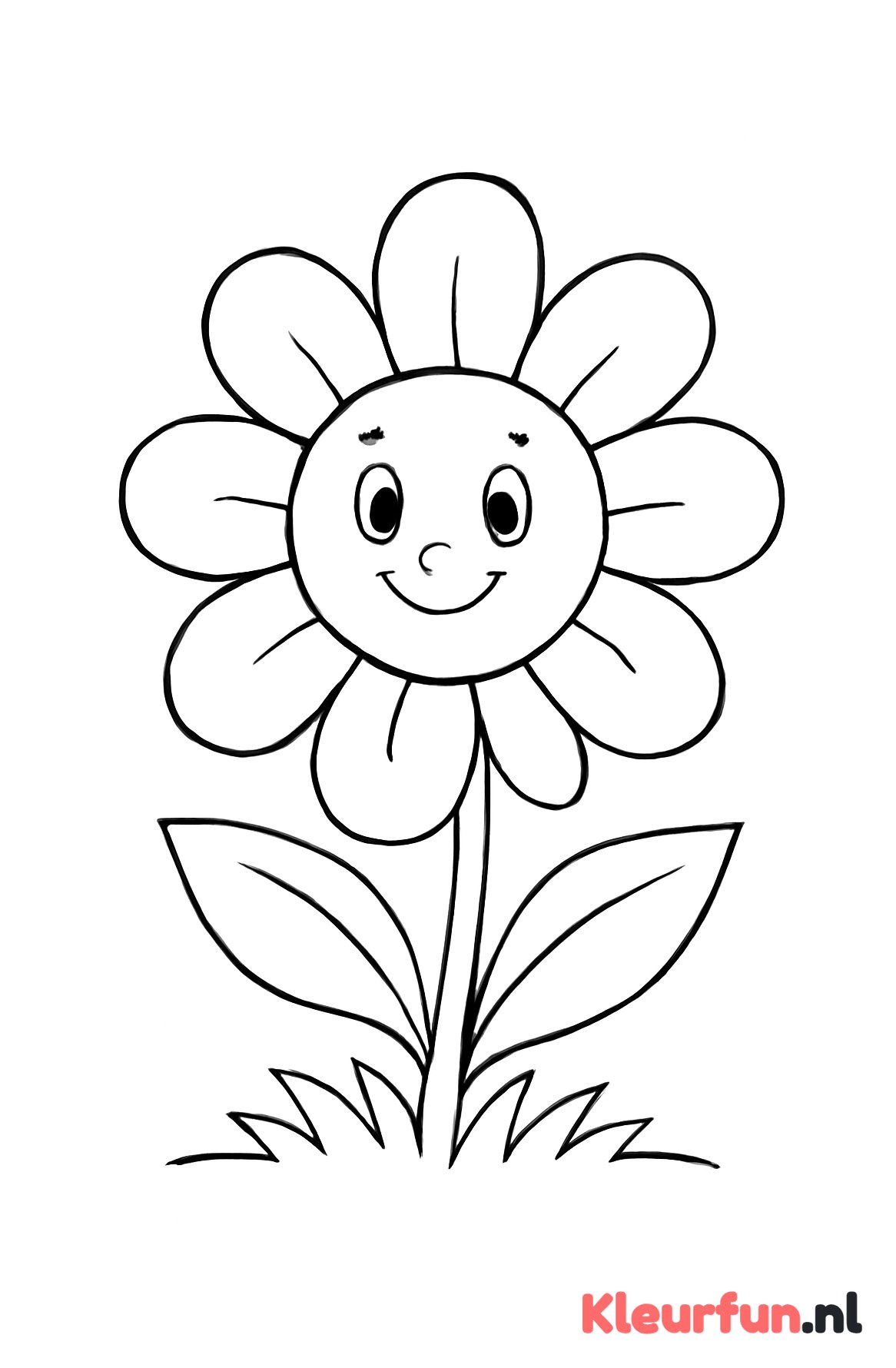 Vrolijke bloem met grote blaadjes