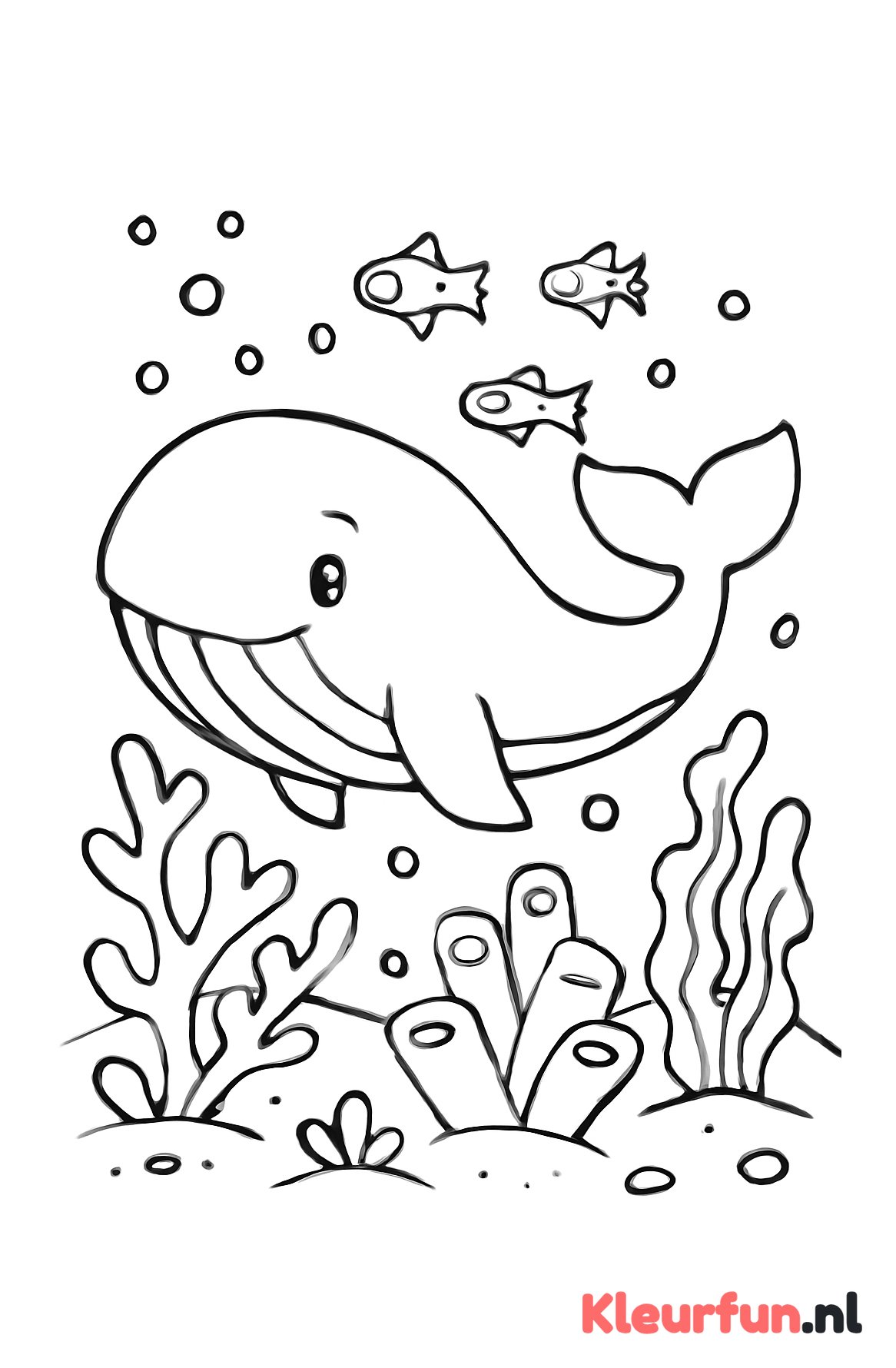 Walvis bij het koraalrif
