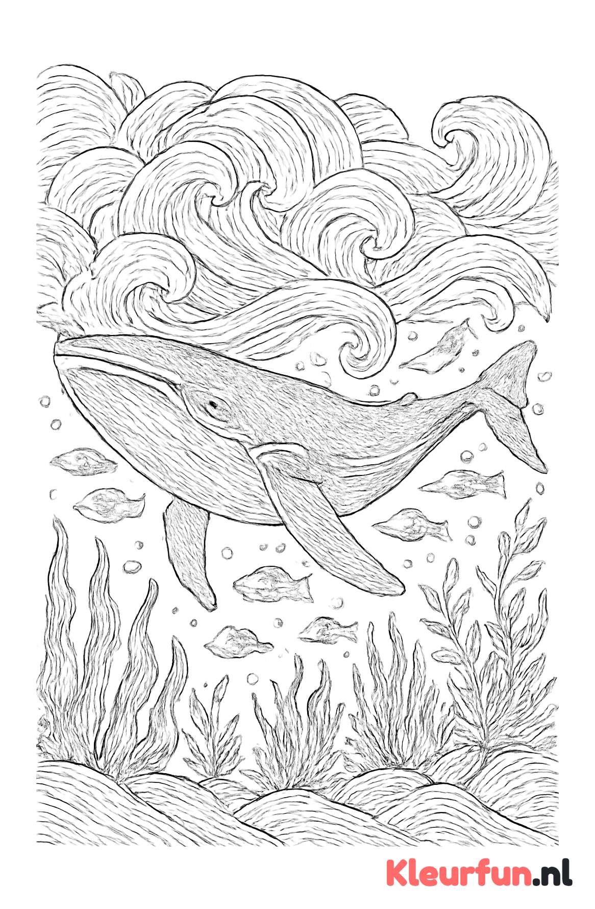 Walvis in oceaan