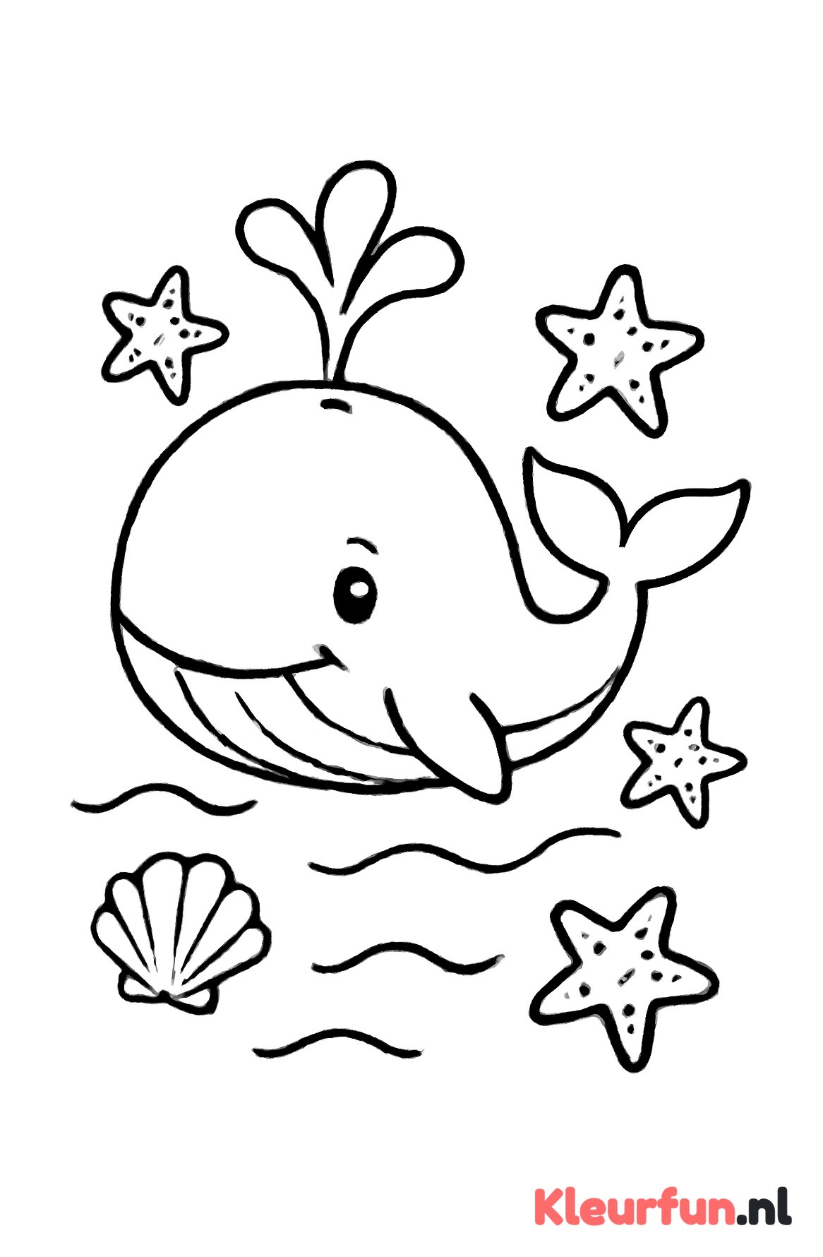 Walvis met waterspuit en zeesterren