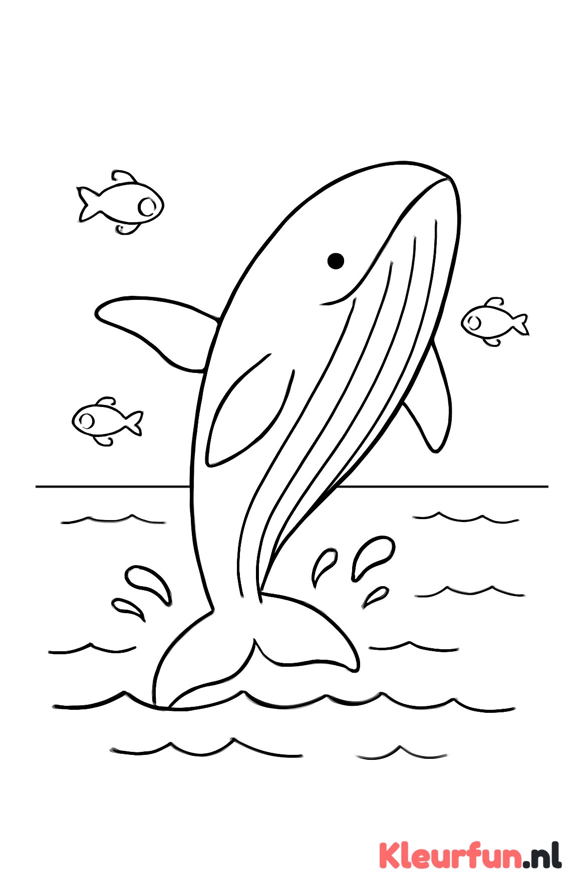 Walvis springt uit het water