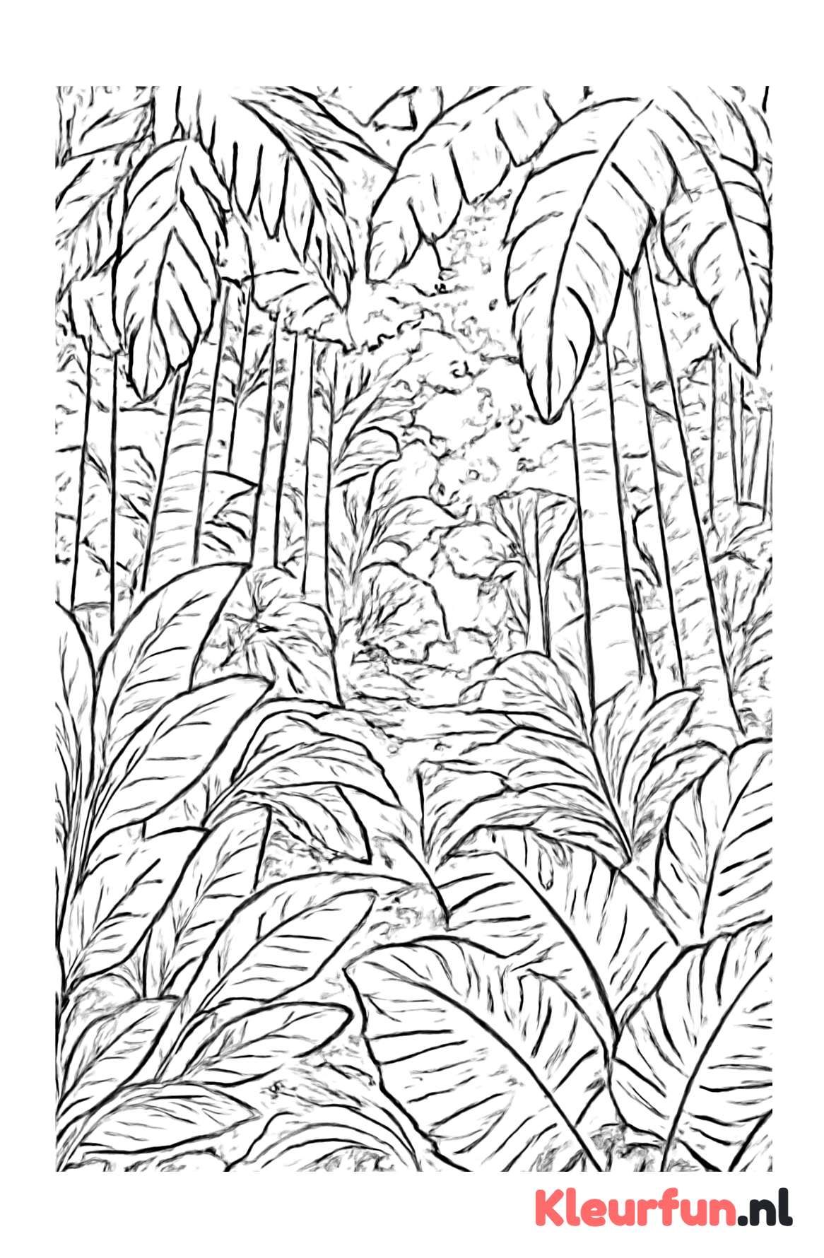 Weelderige jungle met grote bladeren
