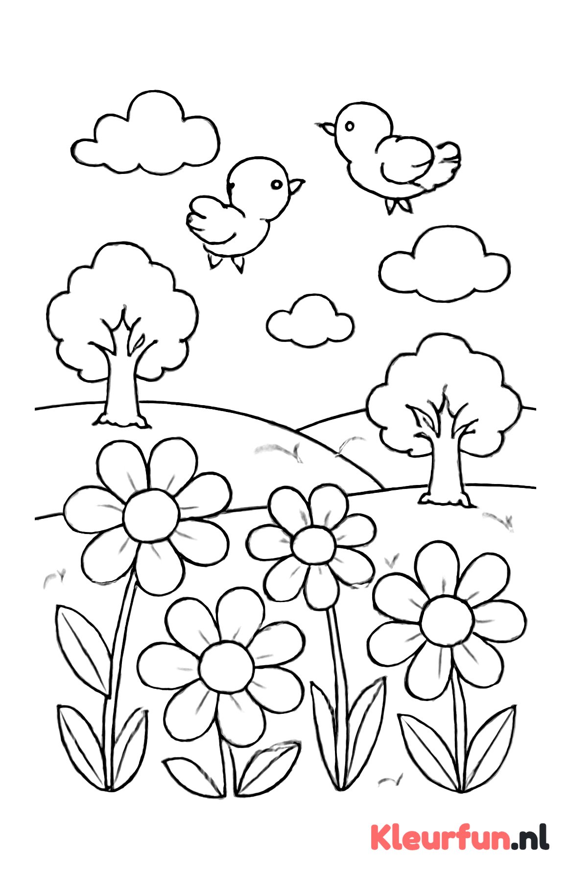 Weide met bloemen en vogels