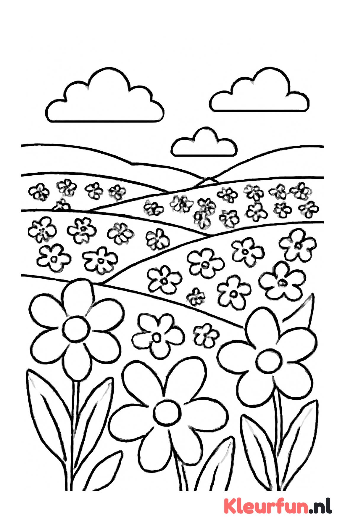 Weids bloemenlandschap tot aan de horizon