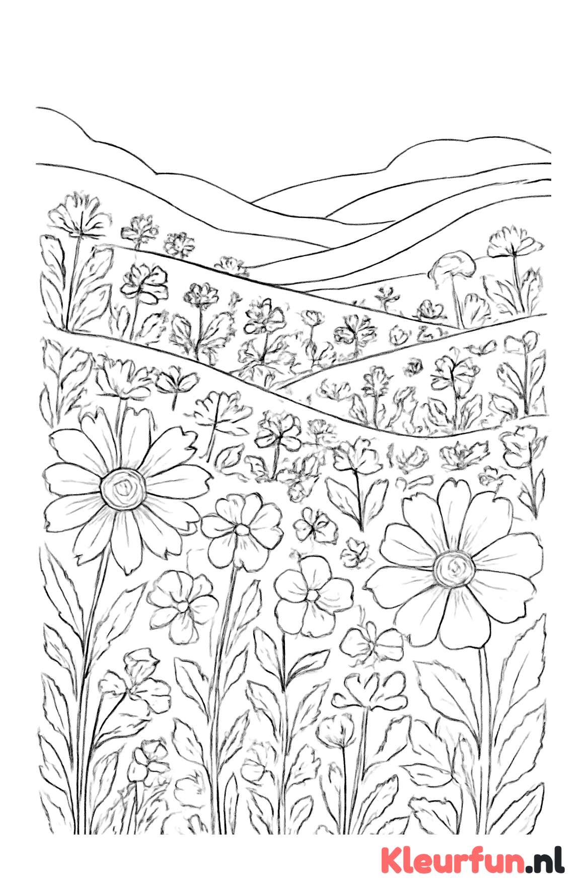 Weids bloemenlandschap met diverse bloemen