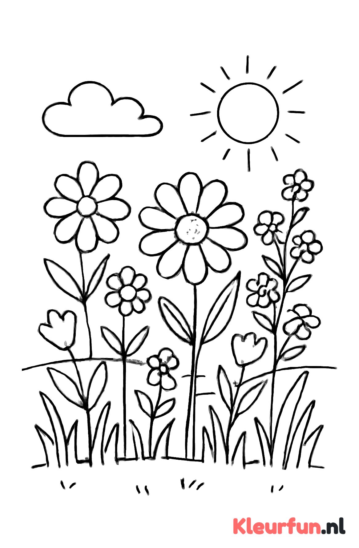 Wijds veld met wilde bloemen