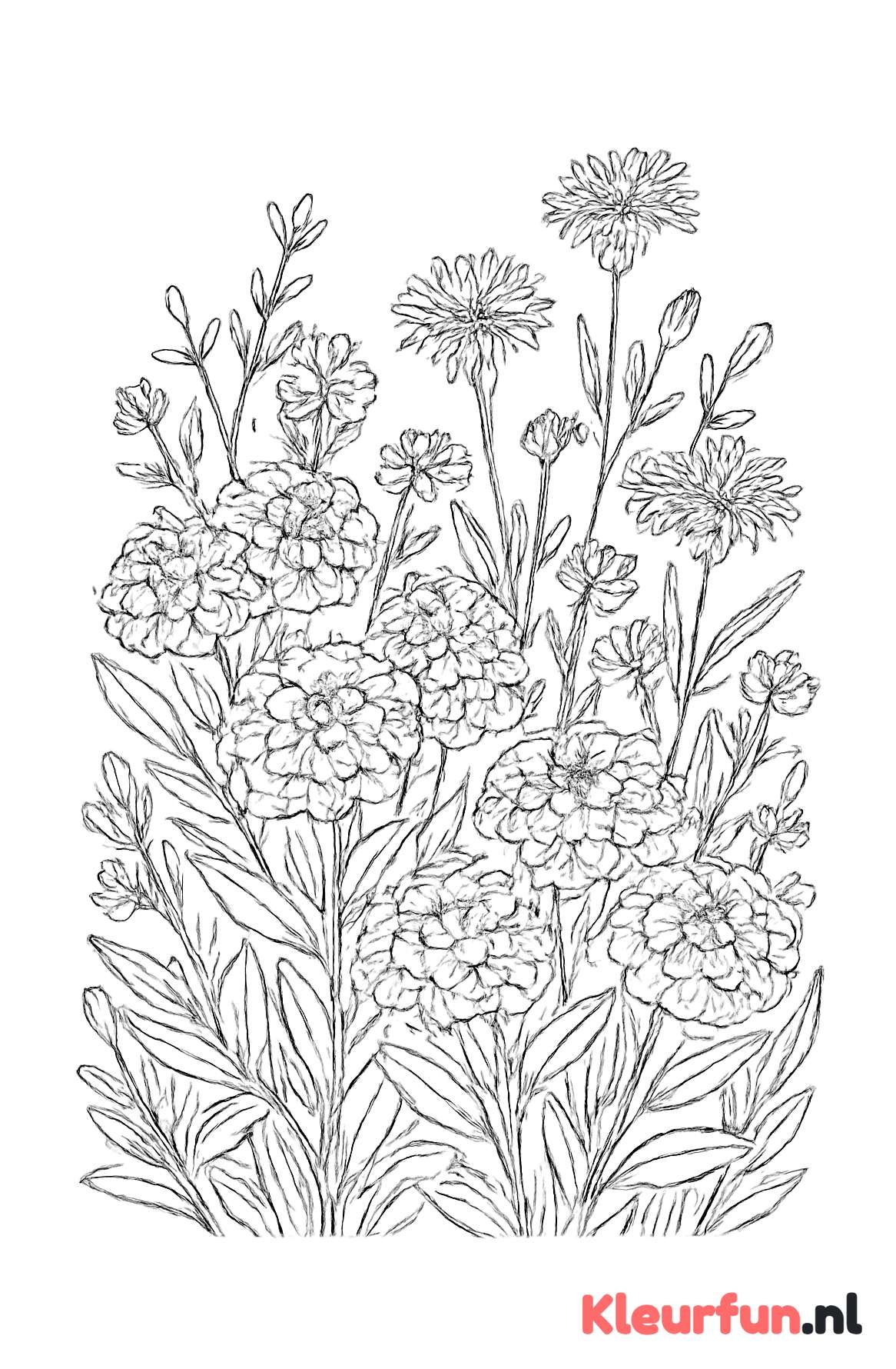 Wild Bos Bloemen