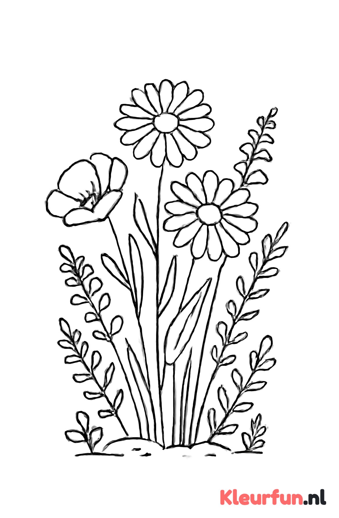 Wilde bloemen en planten