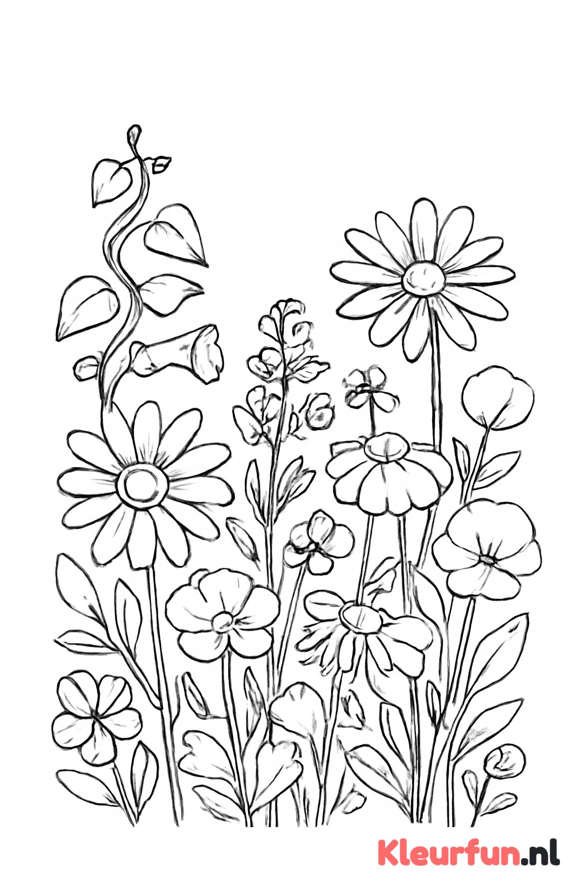 Wilde bloemen en klimplanten kleurplaat