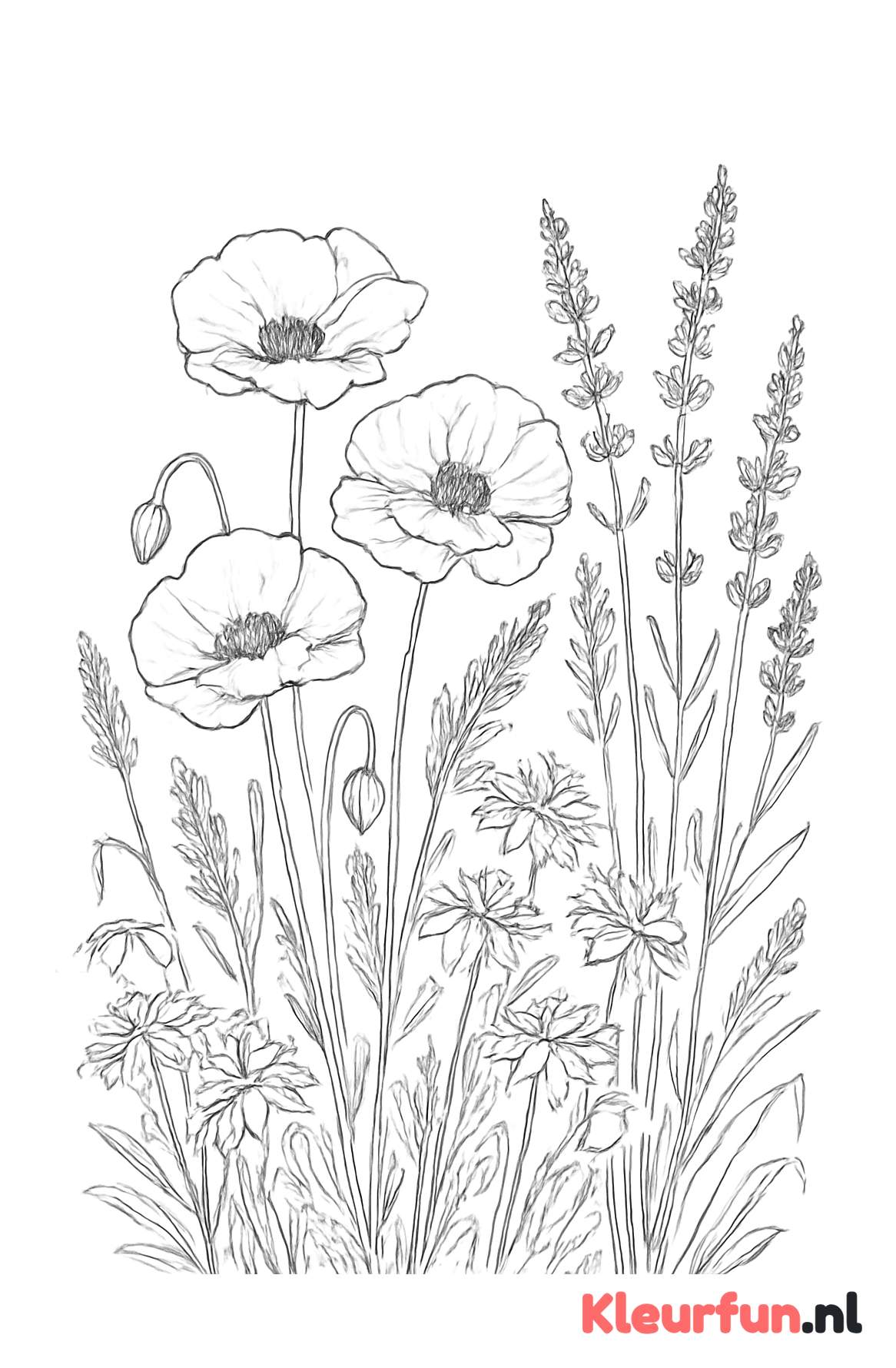 Wilde bloemen in de prairie
