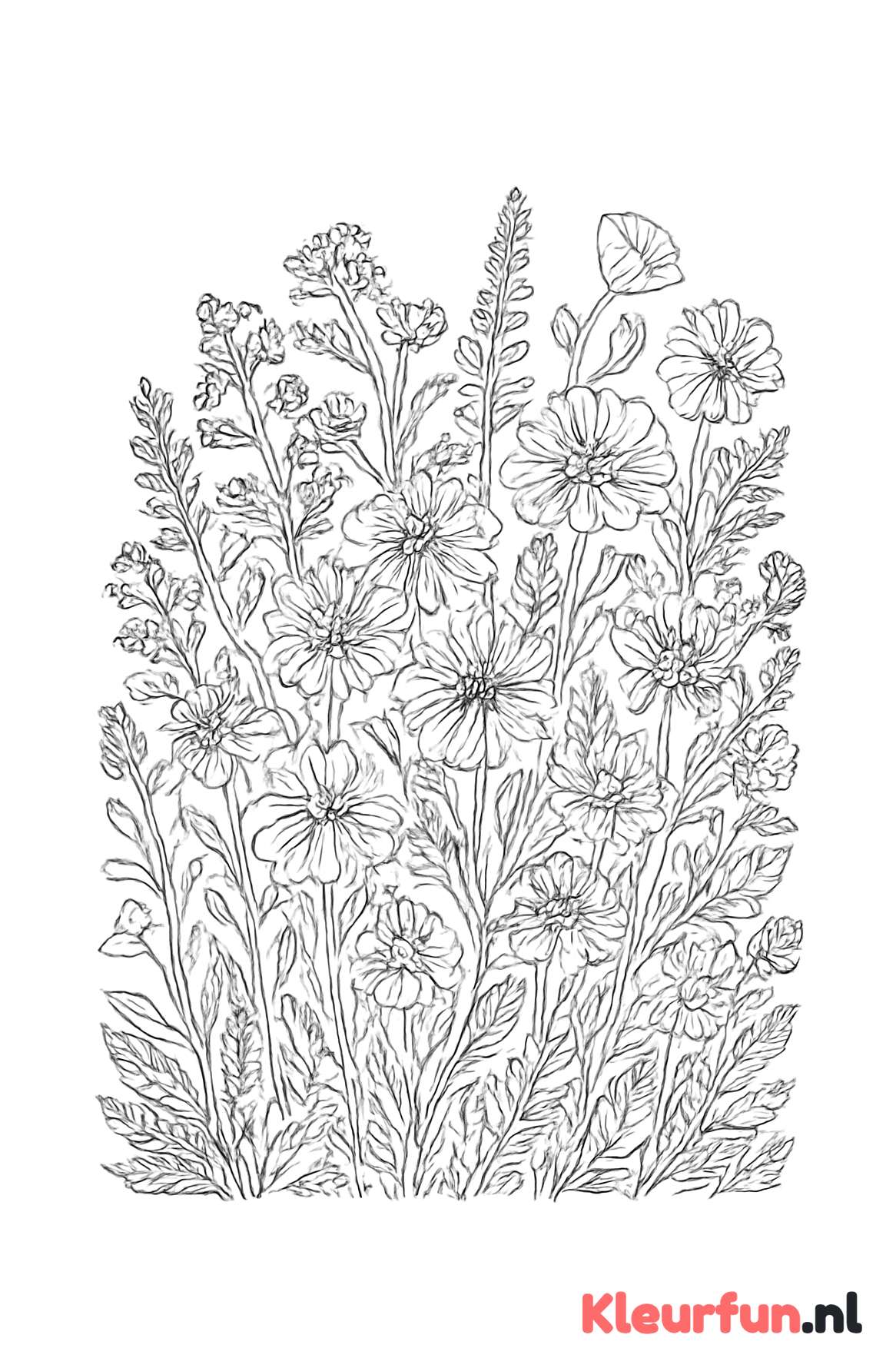 Wilde bloemenweide met fijne details