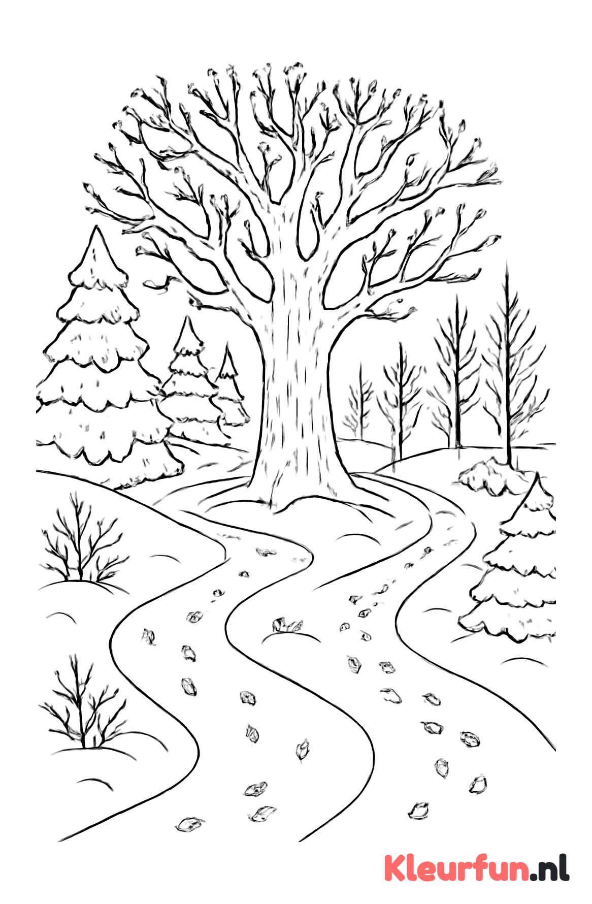Winterbos met paden en dierensporen