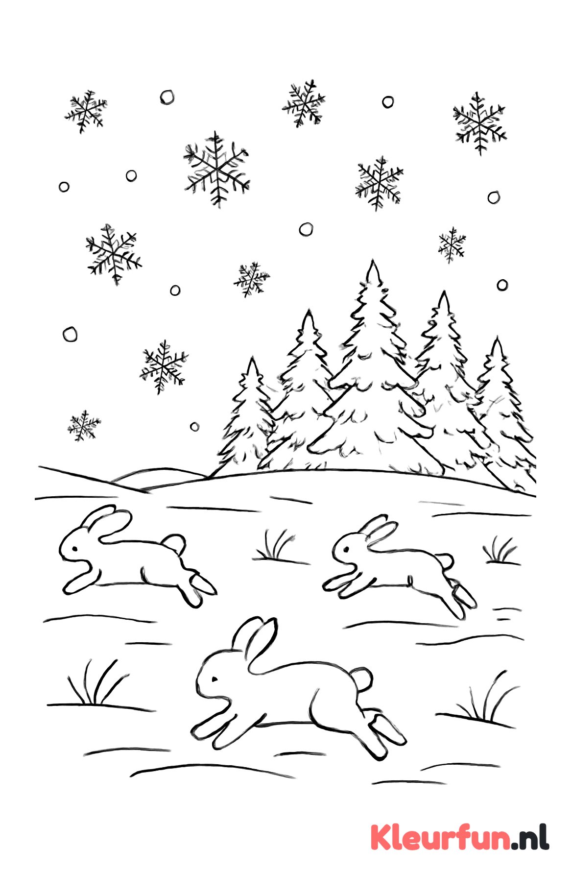 Winterveld met konijnen en dennenbomen