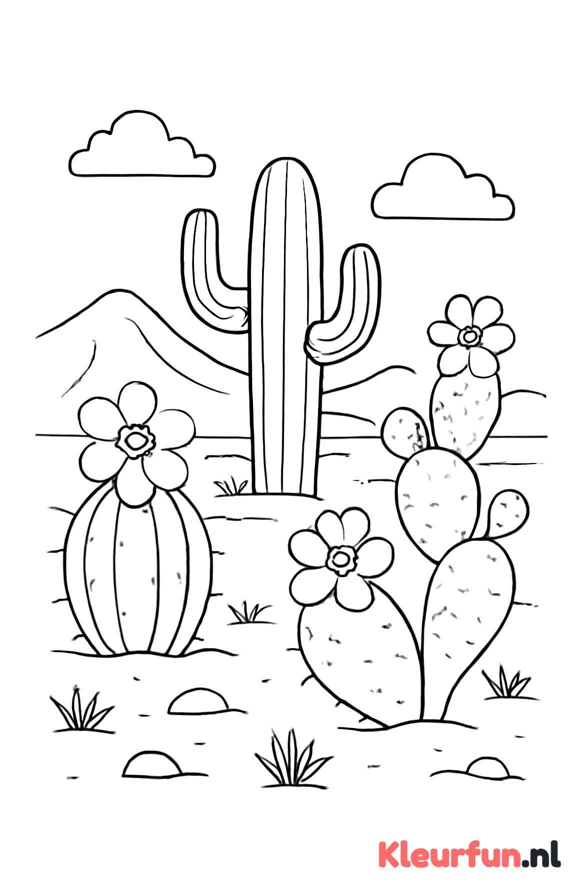 Woestijn met cactussen
