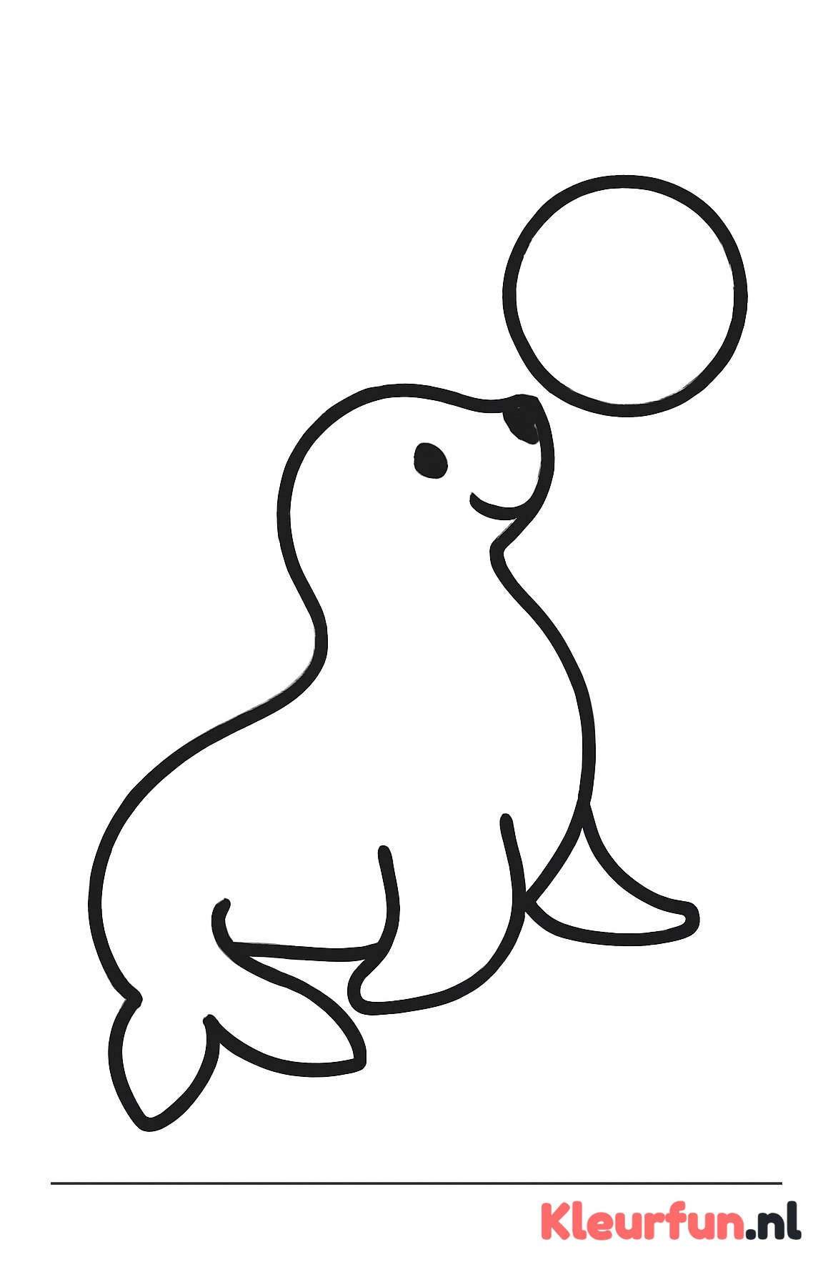 Zeehond met bal
