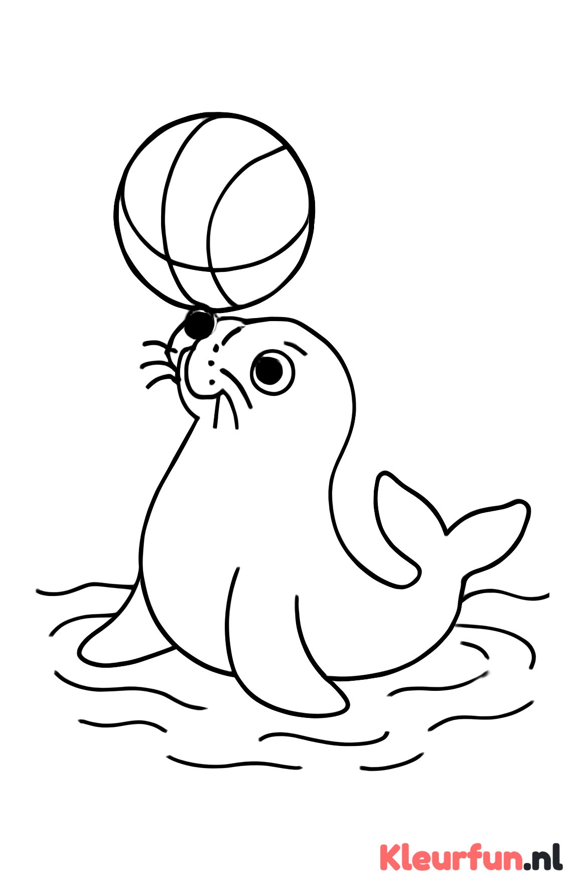Zeehond speelt met bal