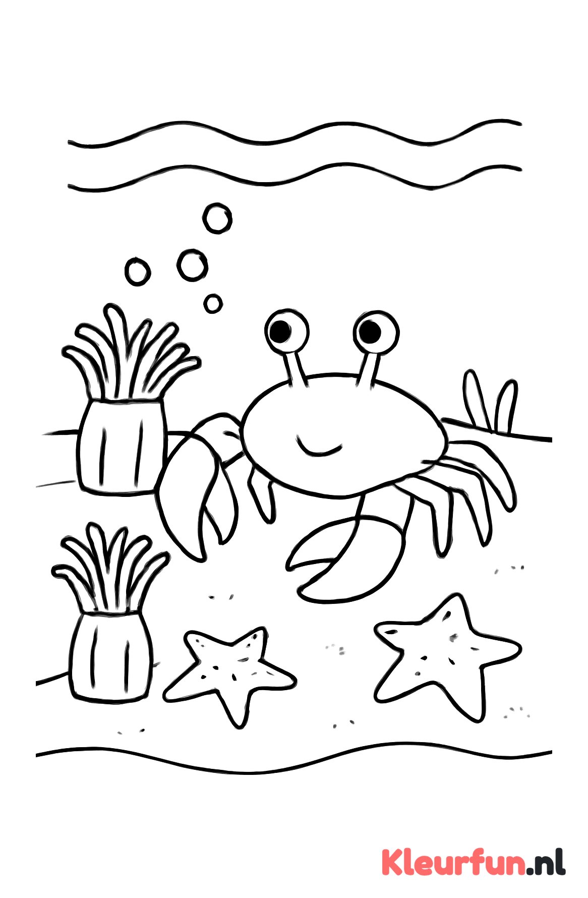 Onderwaterleven met krab en zeesterren