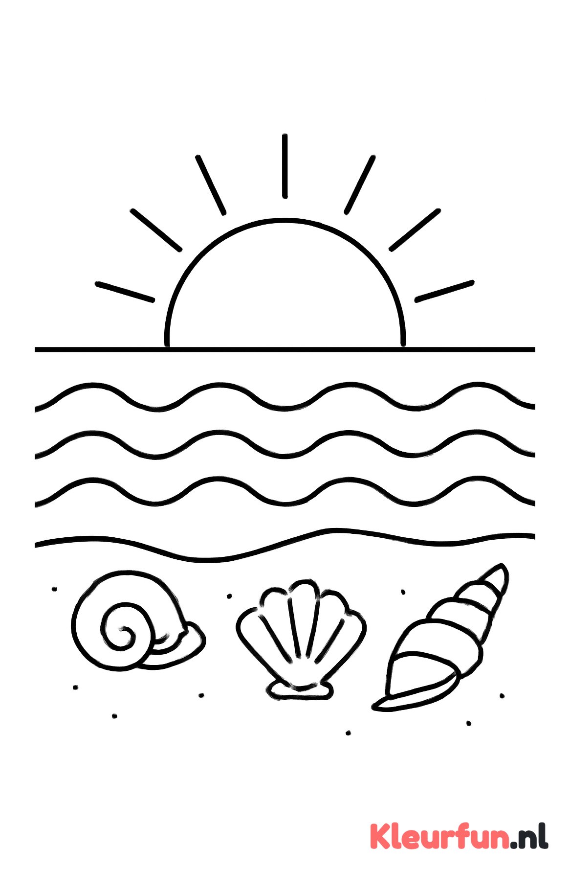 Zee met zonsondergang en schelpen