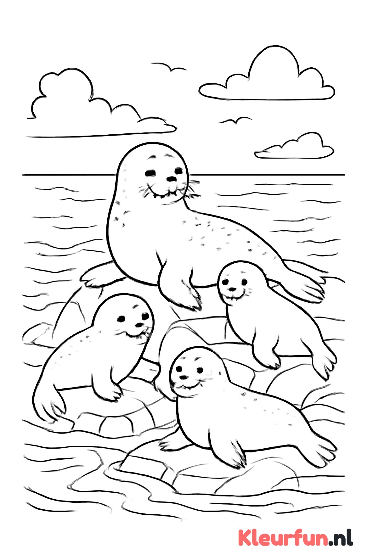 Groep zeehonden op een rots aan de kust