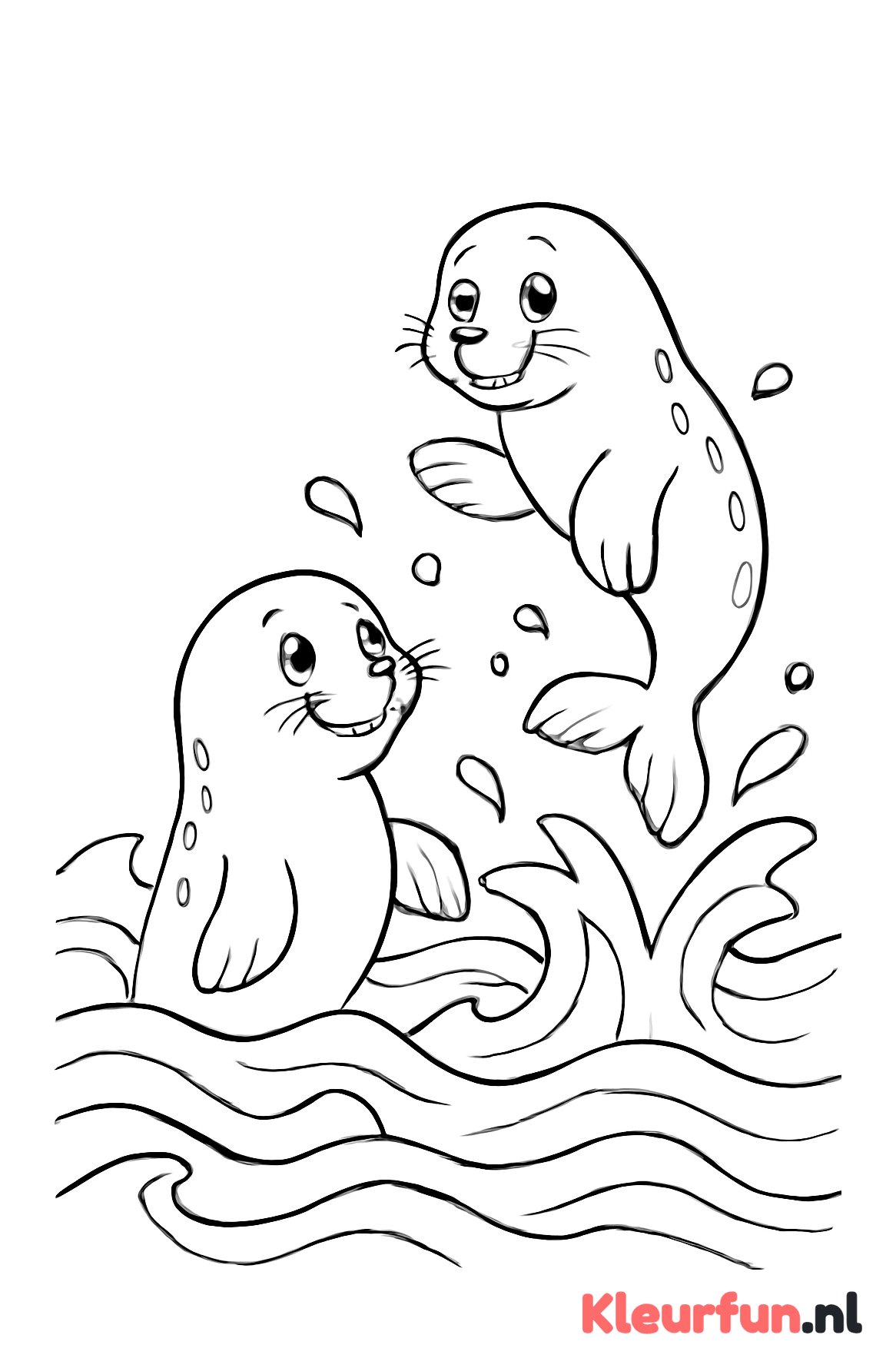 Twee zeehonden spelend in het water