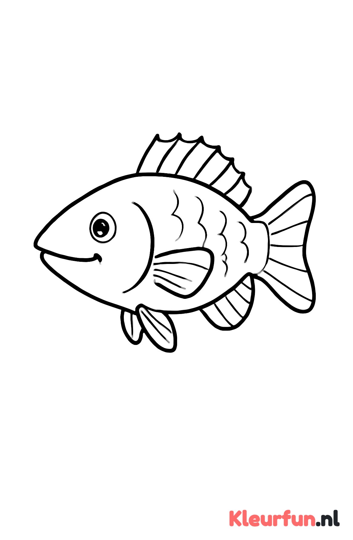 Zeebaars met grote vormen