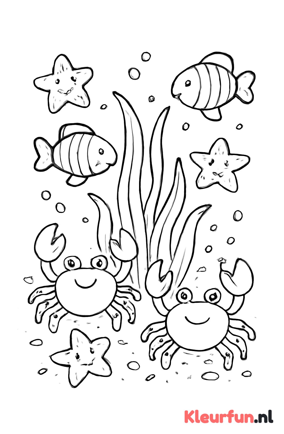 Zeedieren bij zeegras
