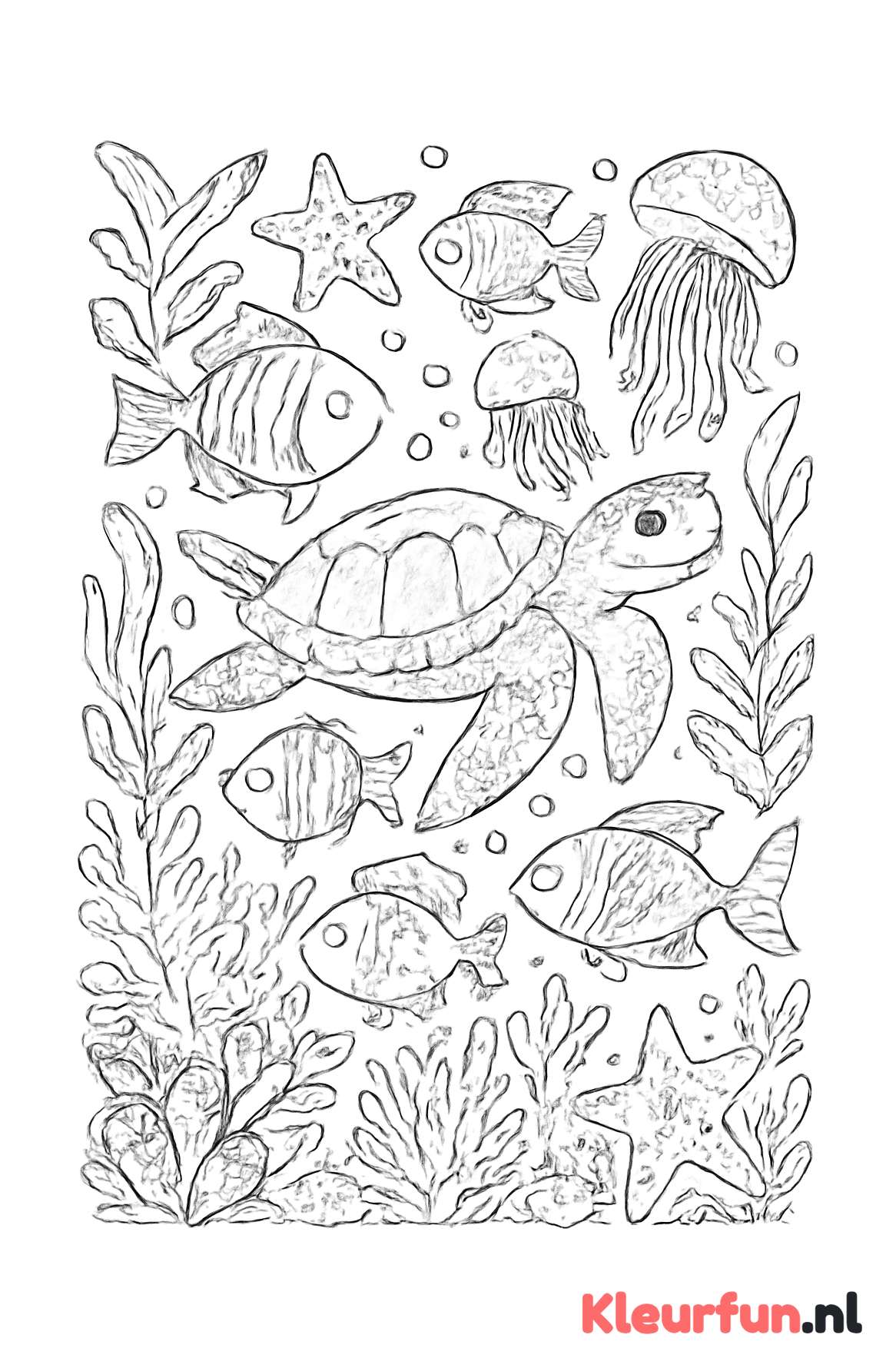Zeedieren in onderwaterwereld