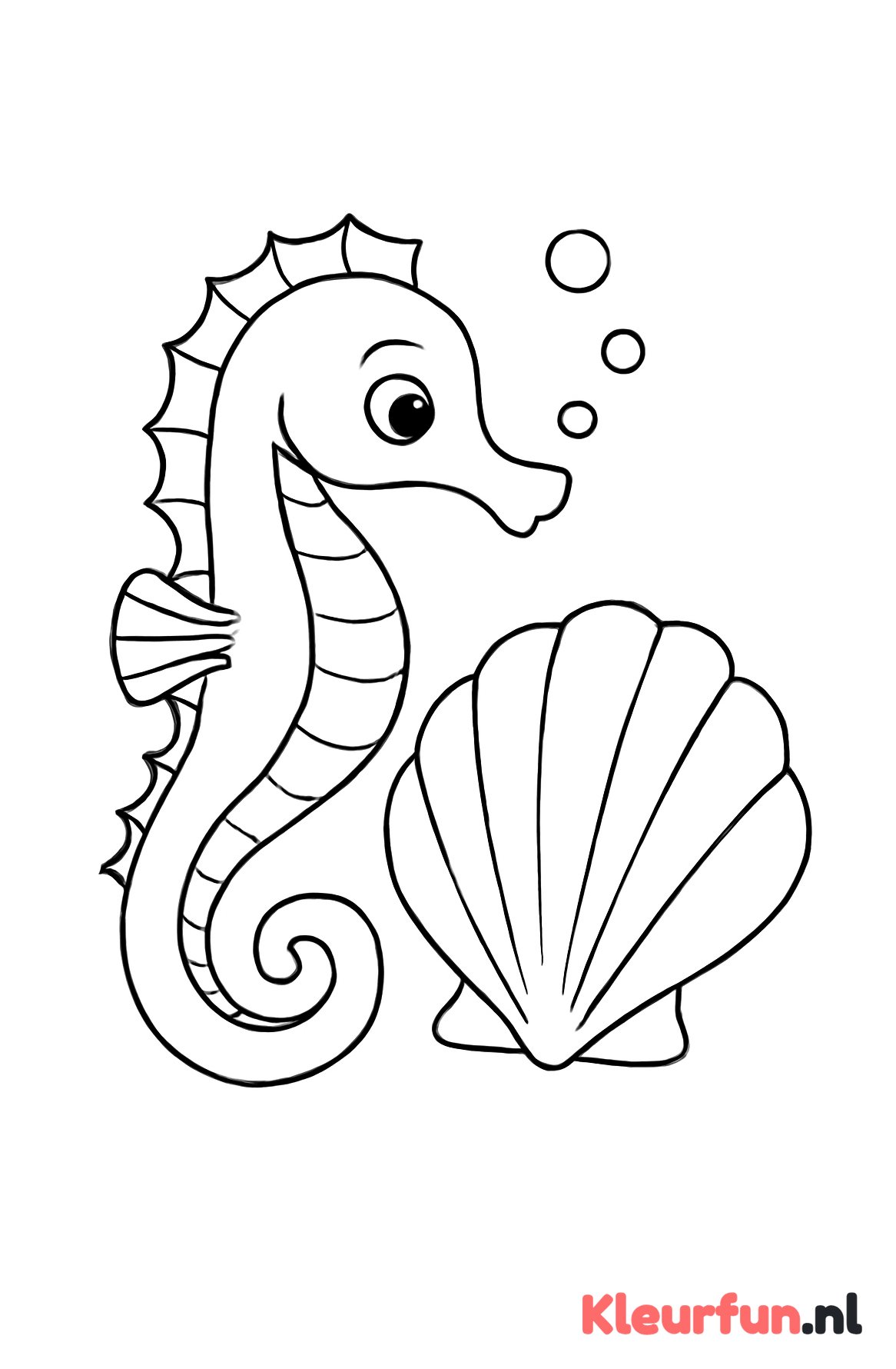Zeepaardje bij schelp