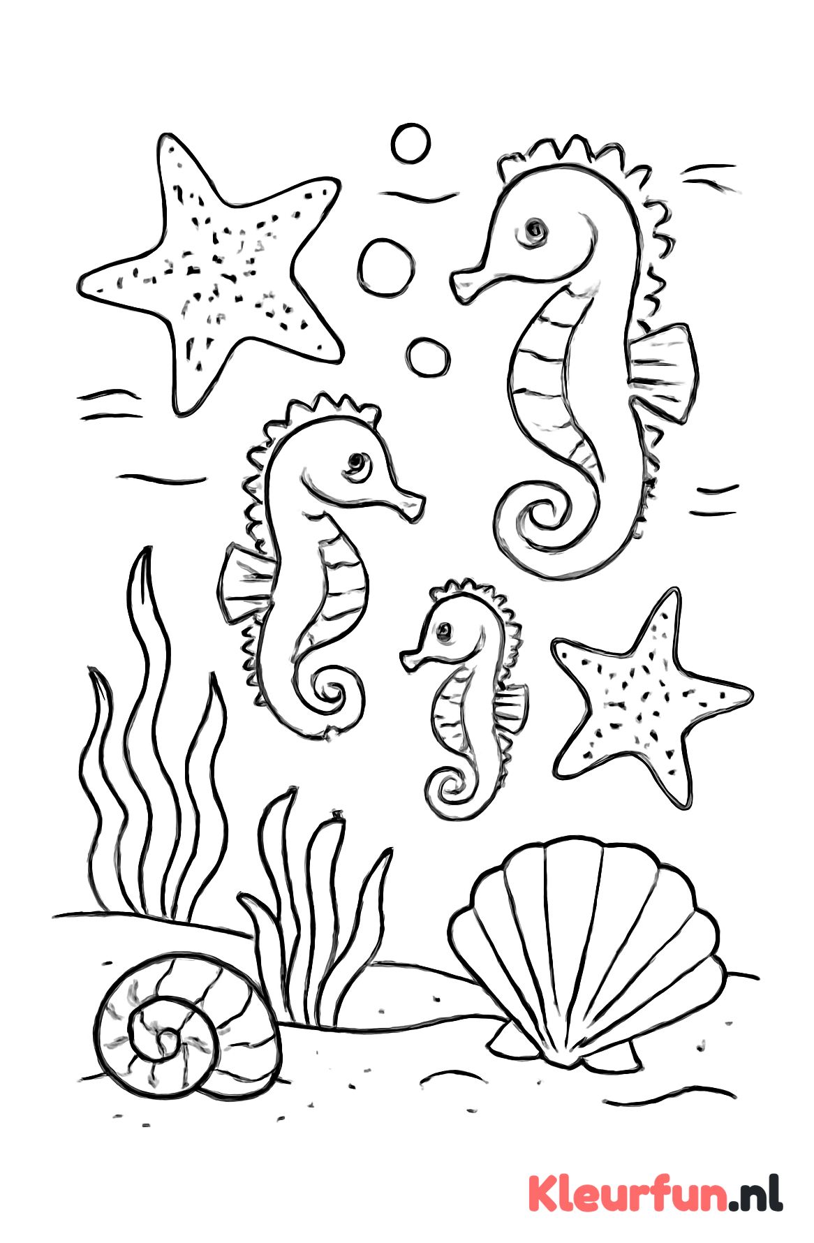 Zeepaardjes en zeesterren in een onderwaterdecor