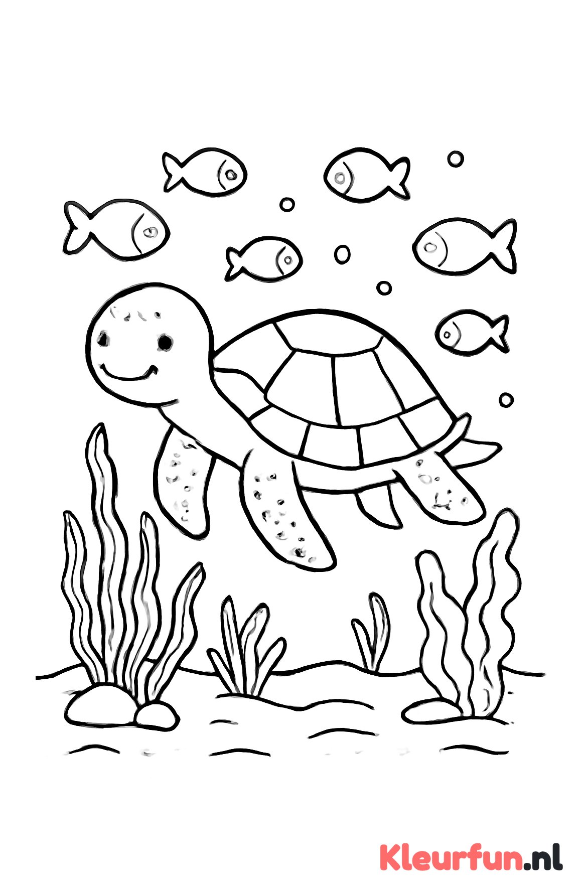 Zeeschildpad en visjes onder water