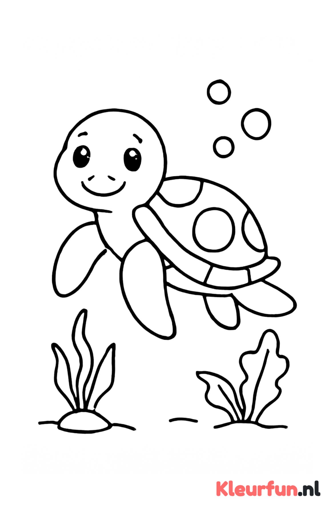 Vrolijke Zeeschildpad