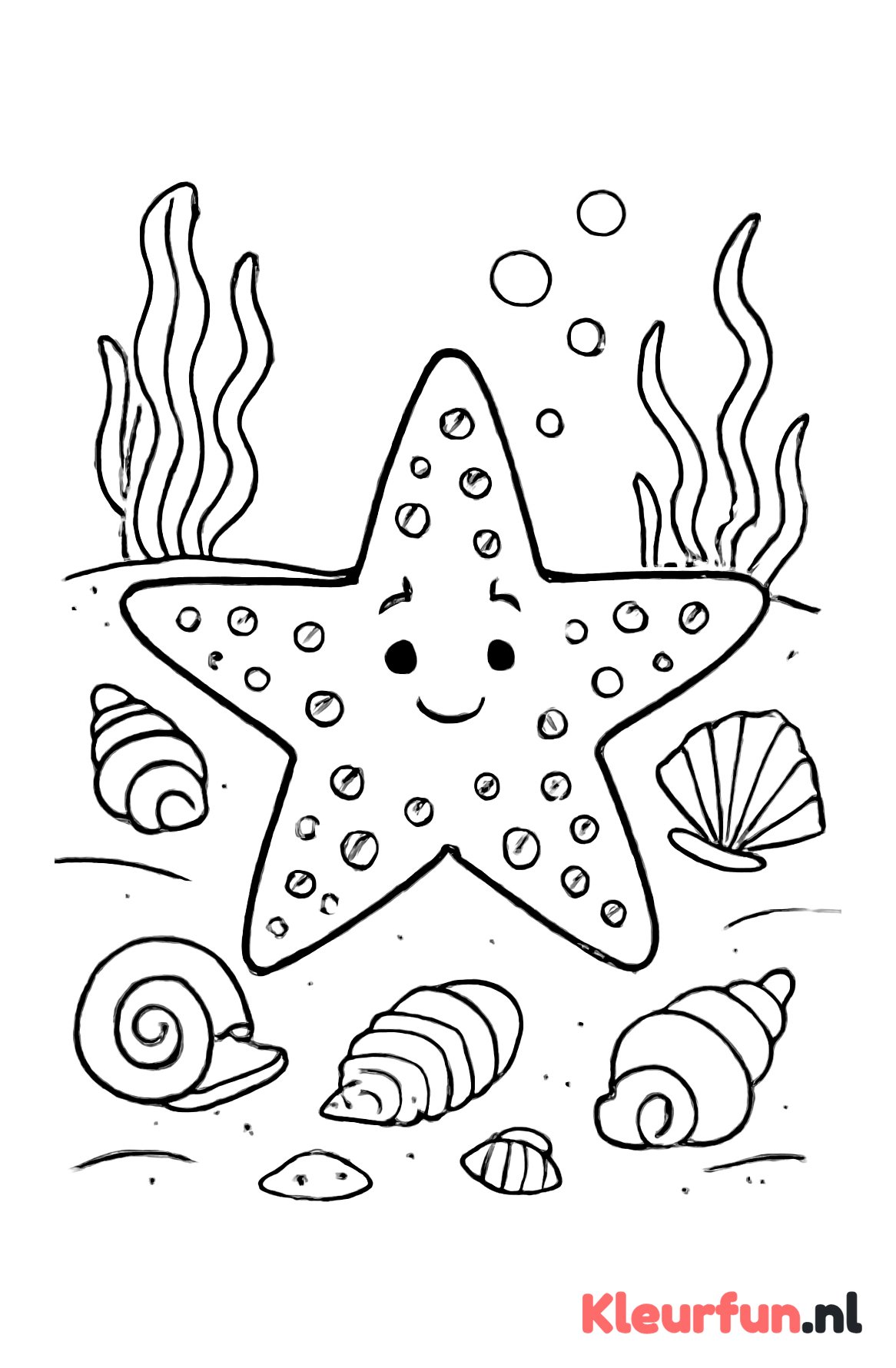 Zeester en kleine schelpen op de zeebodem
