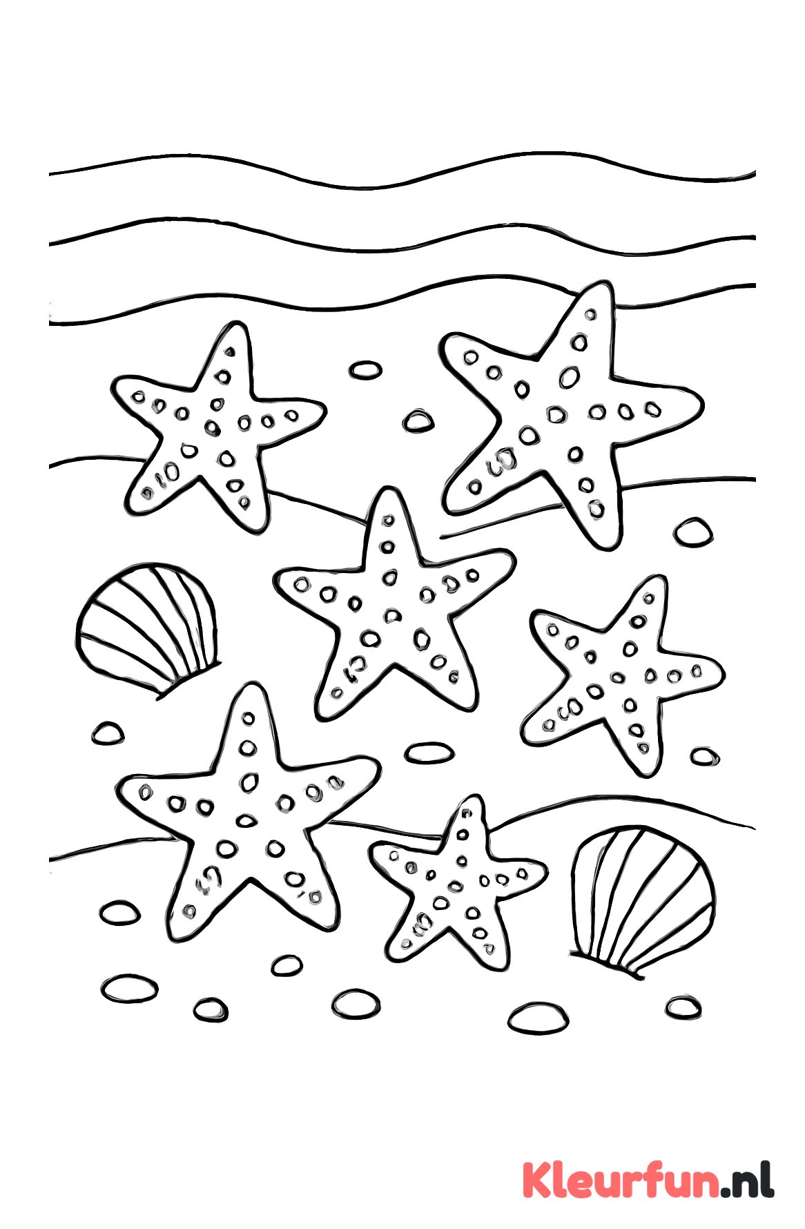 Zeesterren met schelpen in de zee