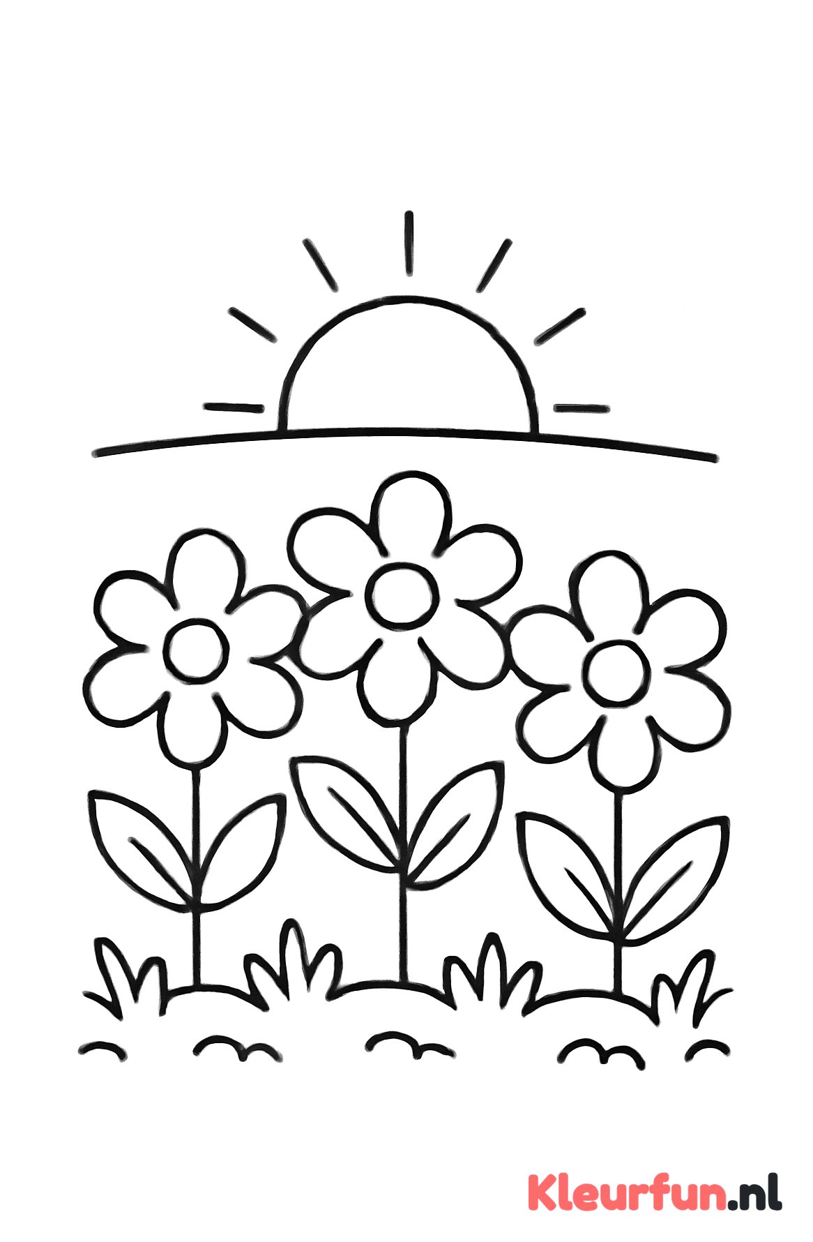 Grote zomerbloemen en zon