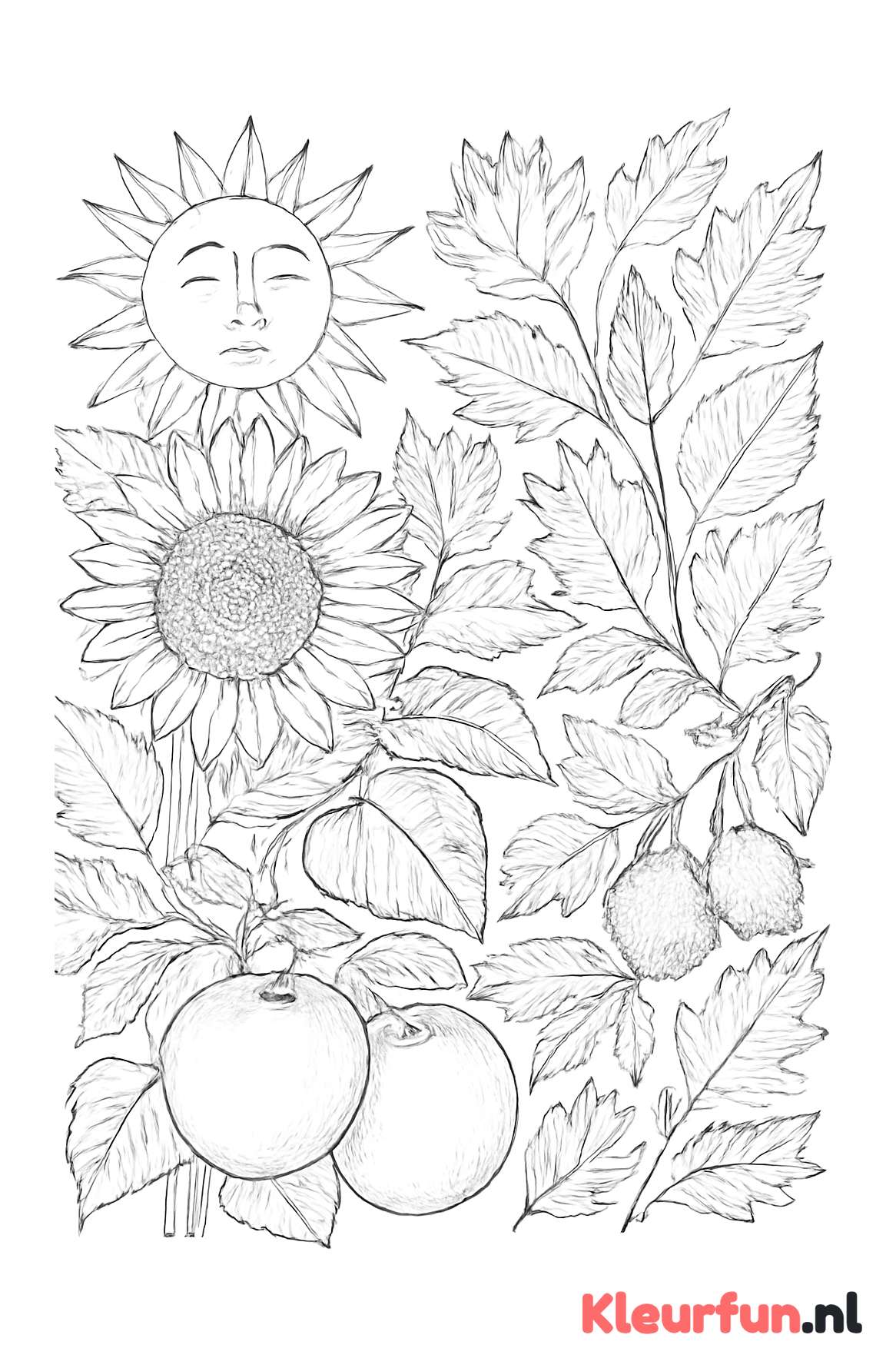 Zomer naar Herfst Overgang