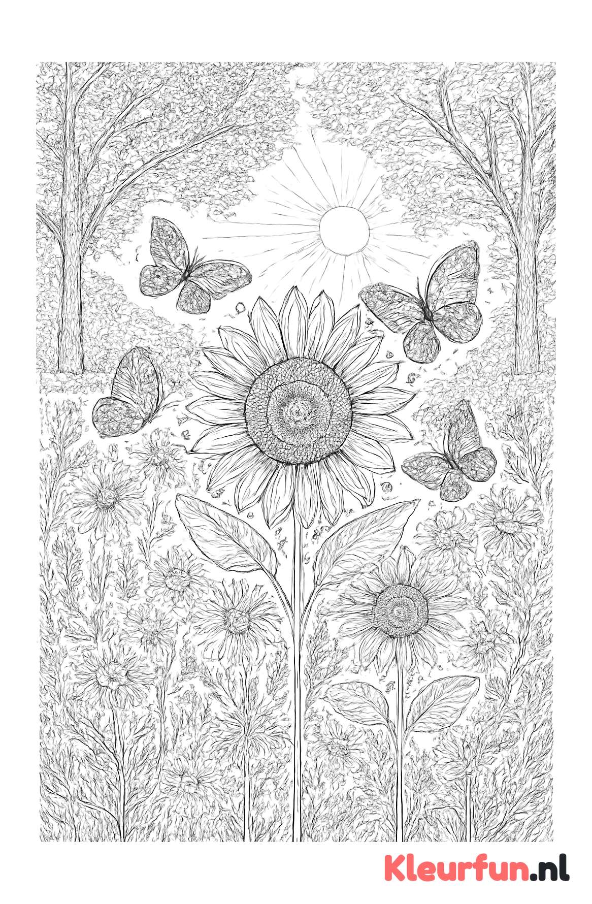Zomerbloemen en Vlinders