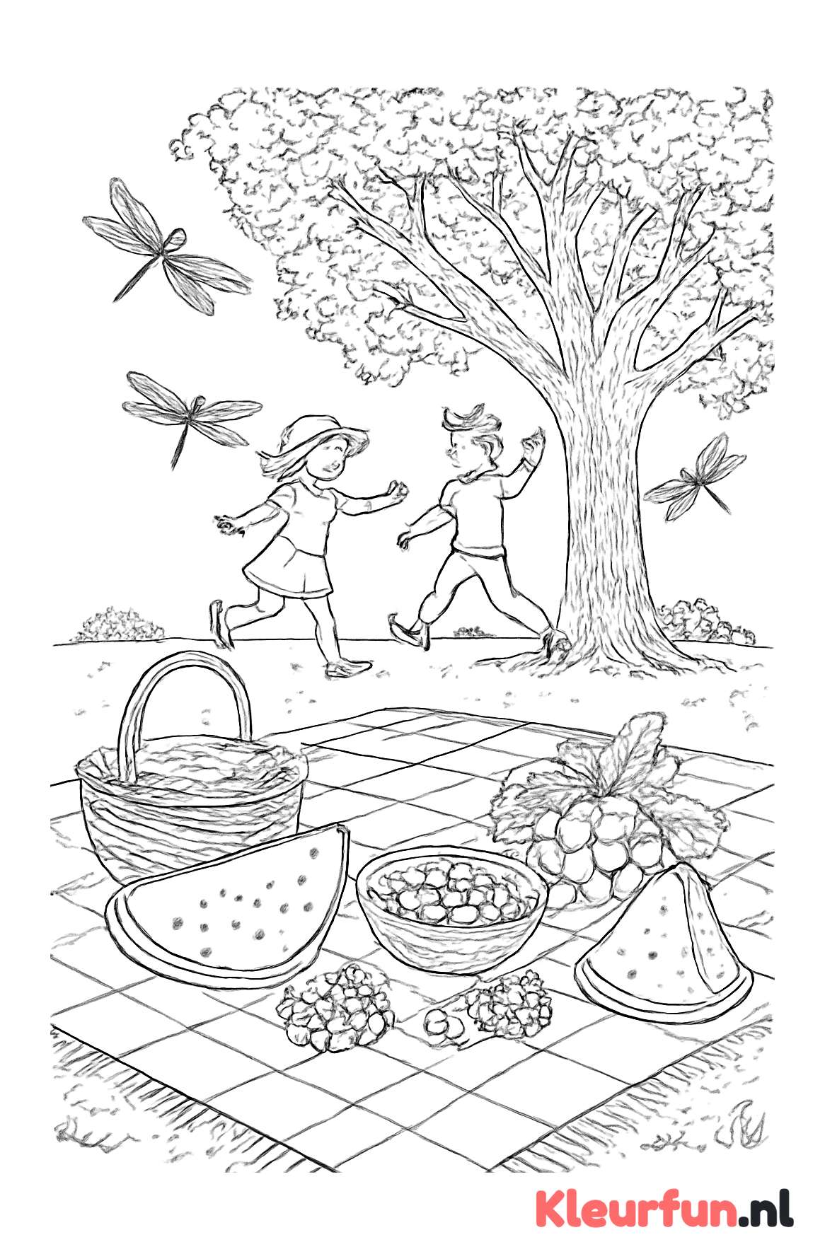 Zomerse Picknick Scène