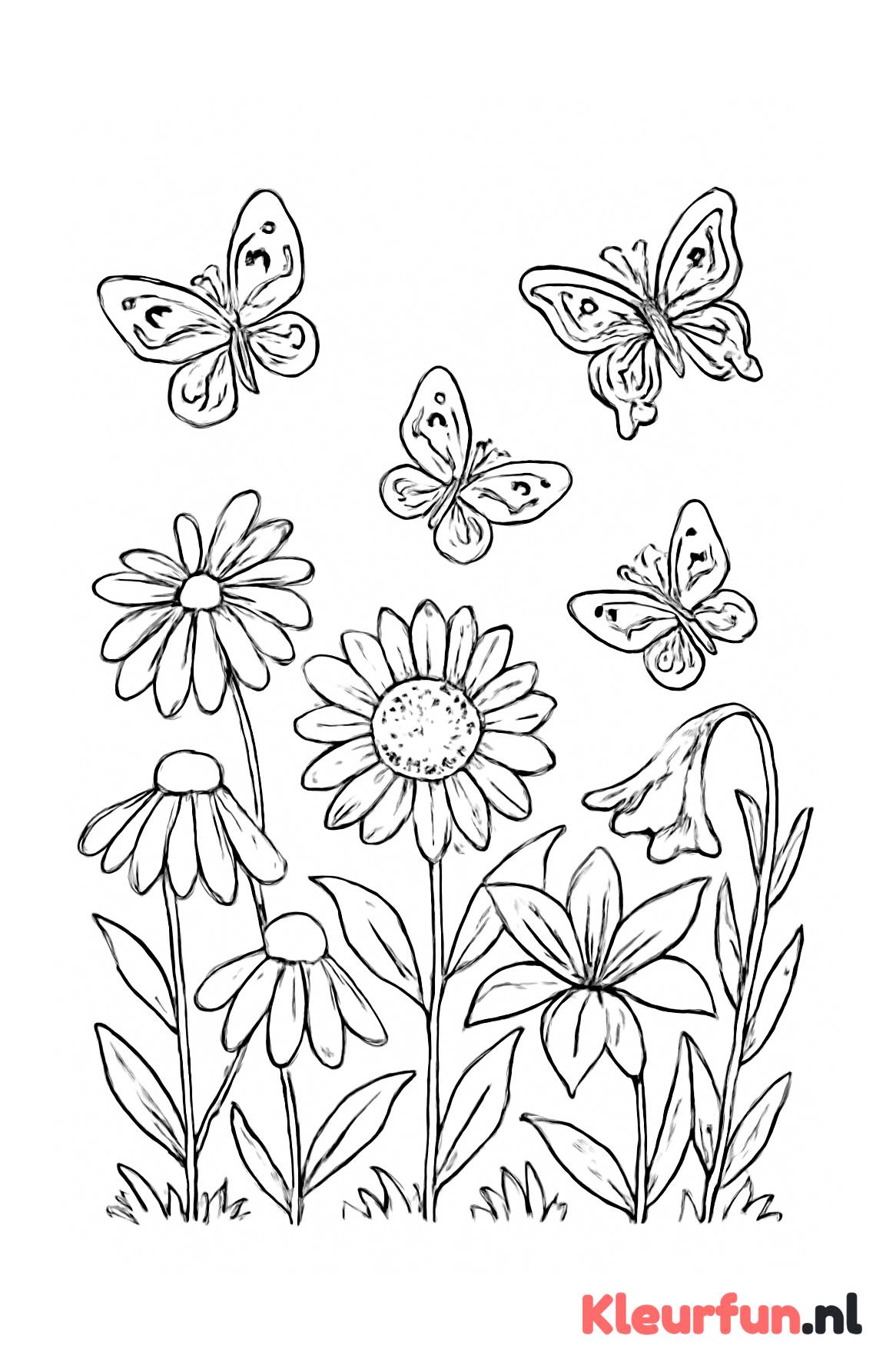 Zomerse tuin met vlinders en bloemen