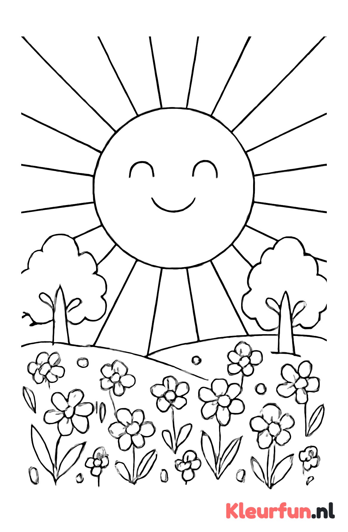 Zon boven weide met bloemen