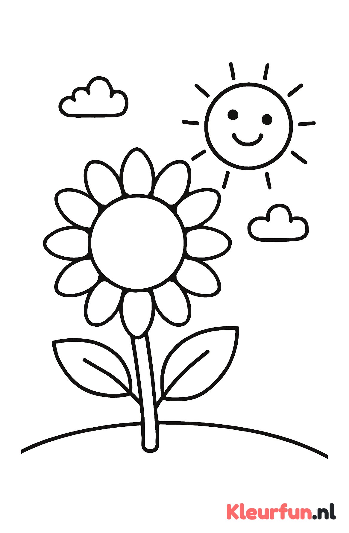 Zonnebloem en zon
