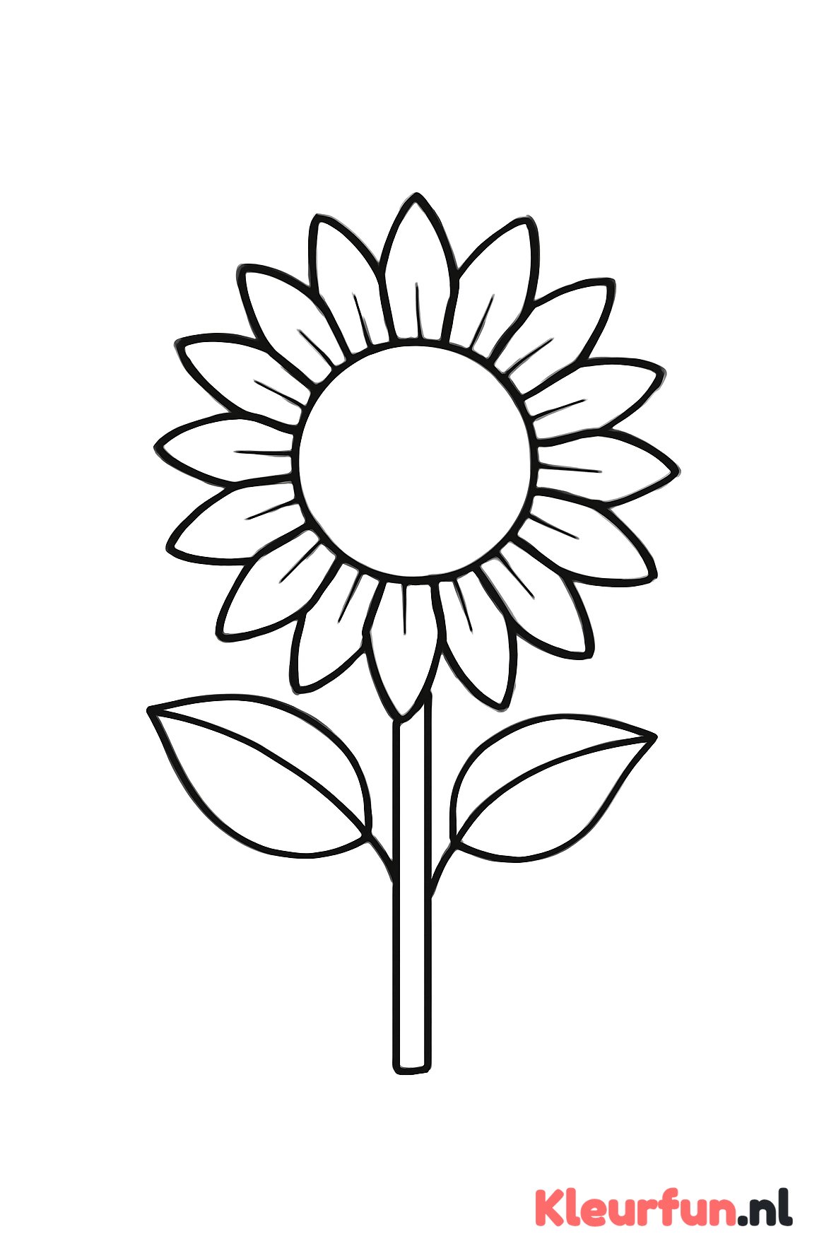 Zonnebloem met grote bladeren