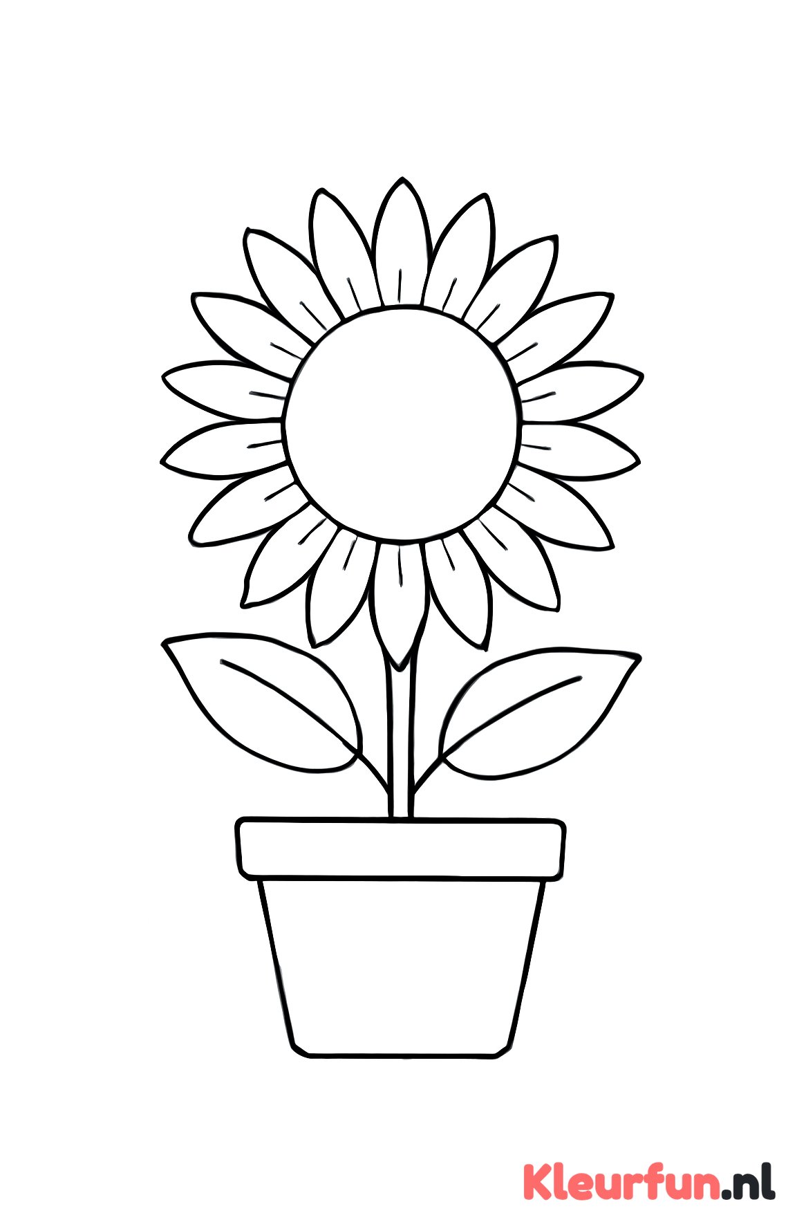 Zonnebloem in pot