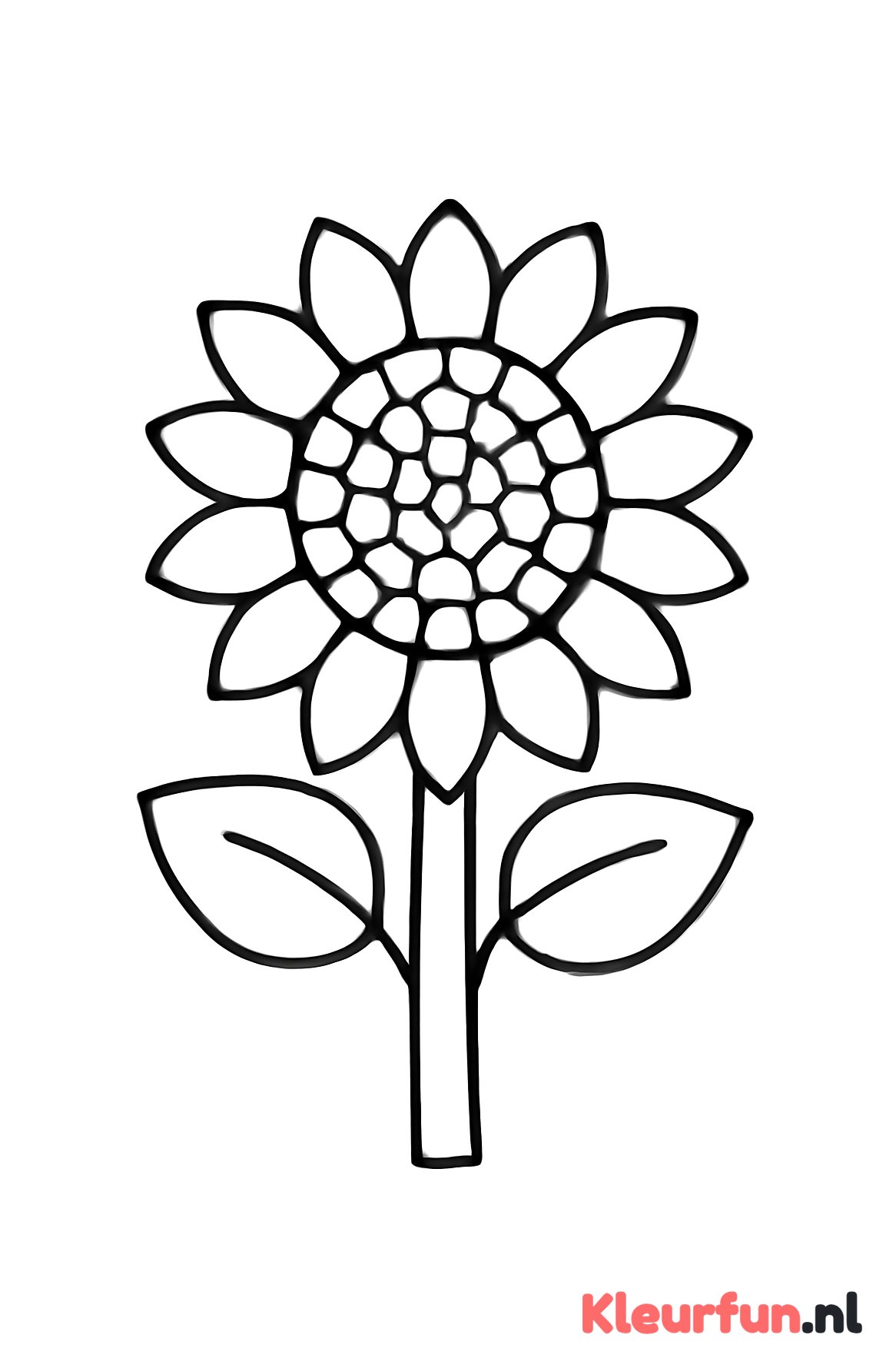 Zonnebloem met dikke stengel