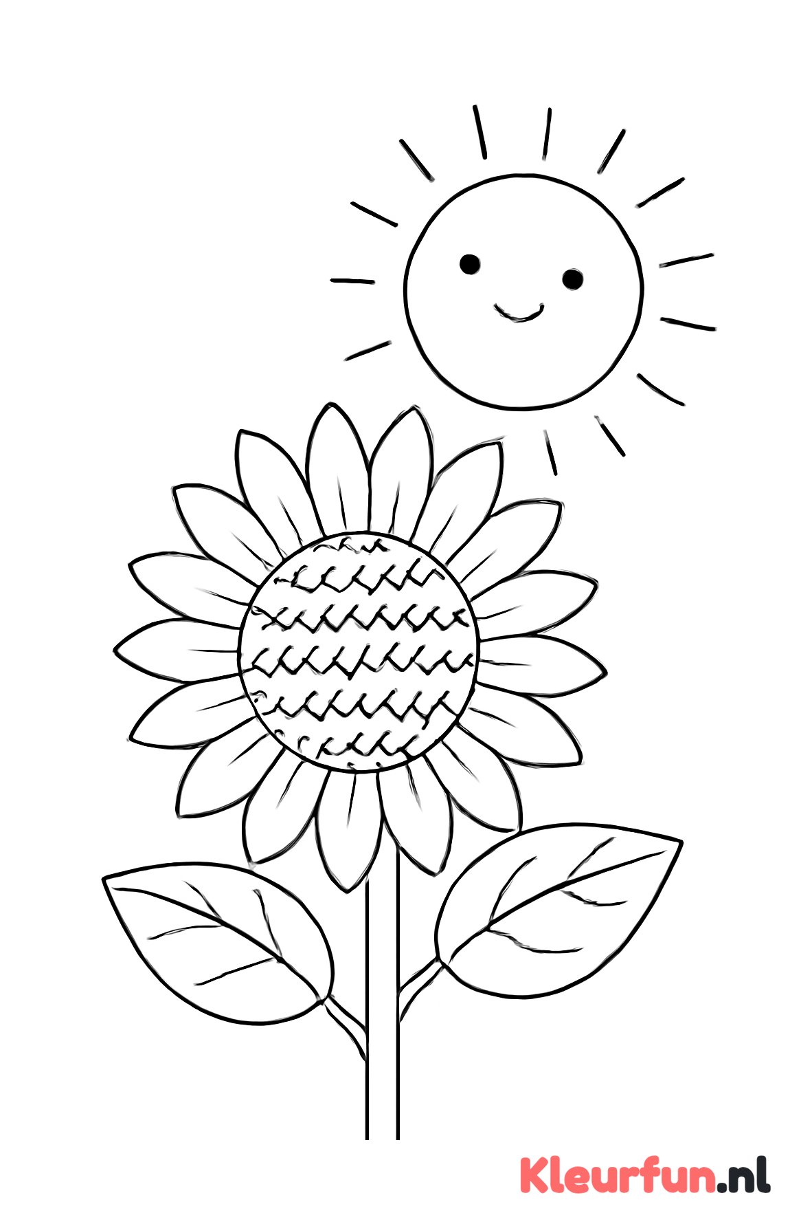 Zonnebloem met zon