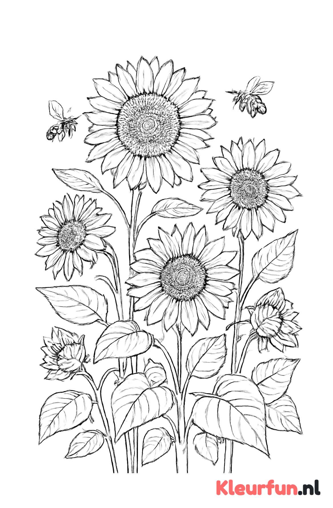 Tuin met zonnebloemen en bijen