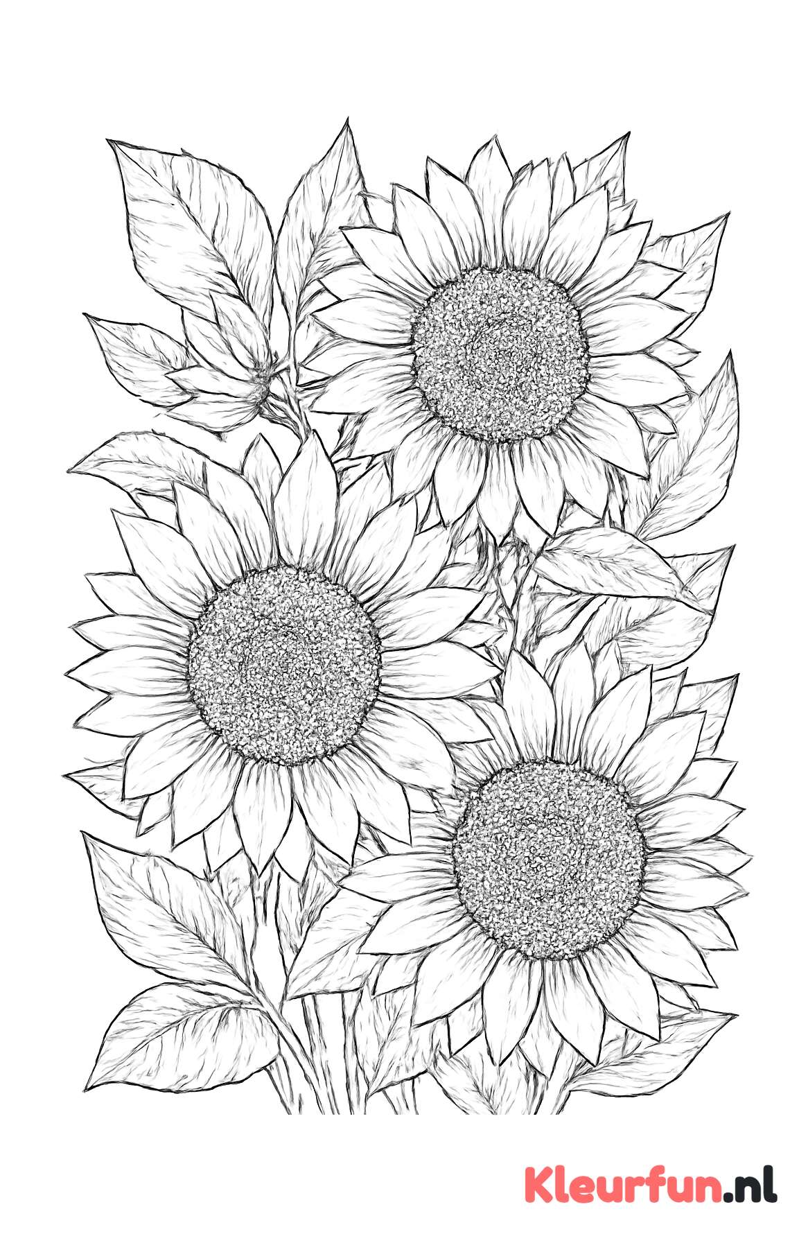 Gedetailleerde close-up van zonnebloemen