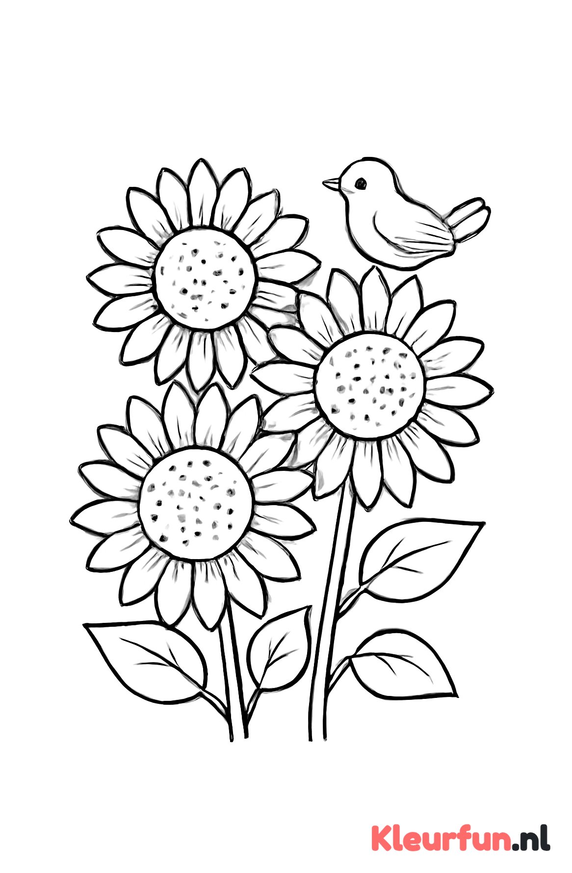 Zonnebloemen met vogeltje