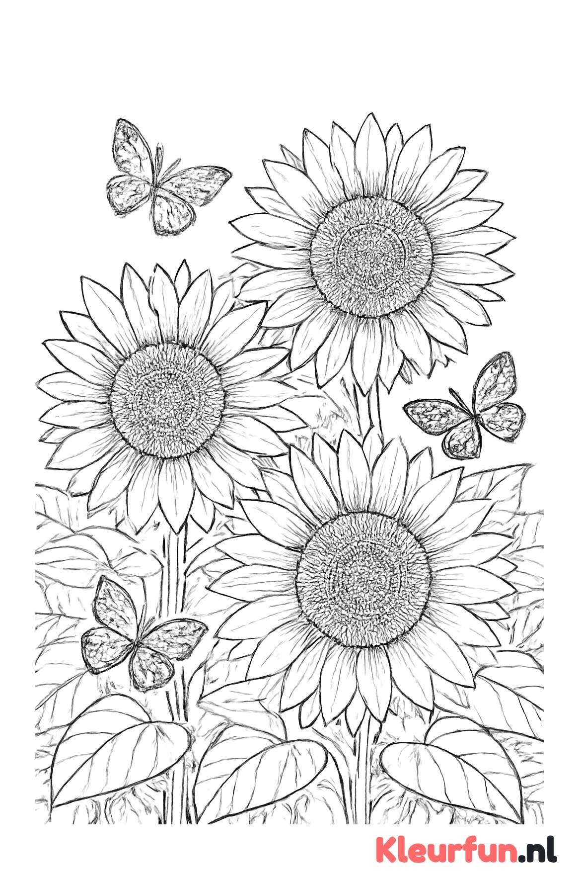 Veld met zonnebloemen en vlinders
