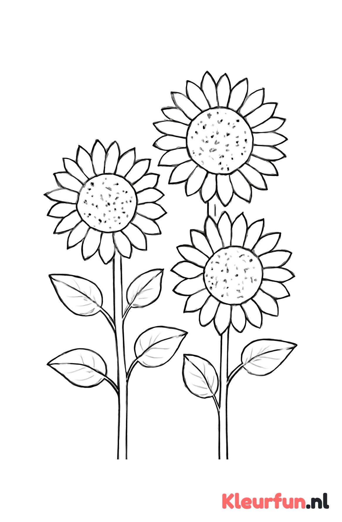 Zonnebloemstengels en Bladeren