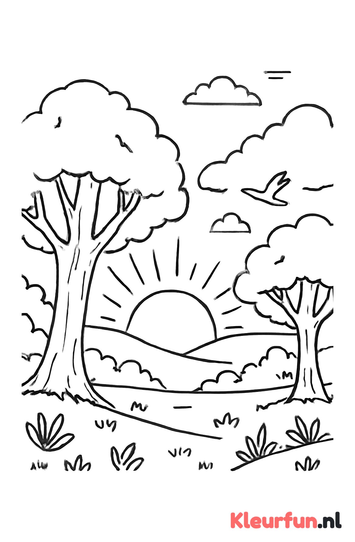 Zonsondergang in het bos